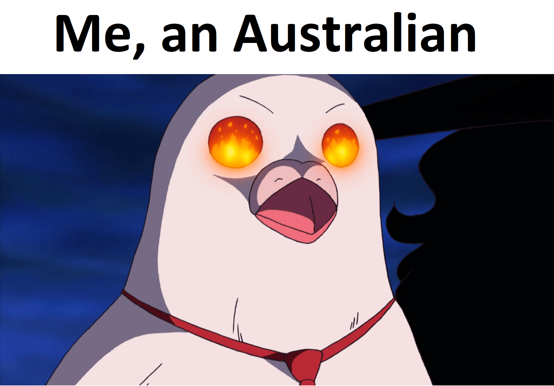 The beds are burning r/MemePiece