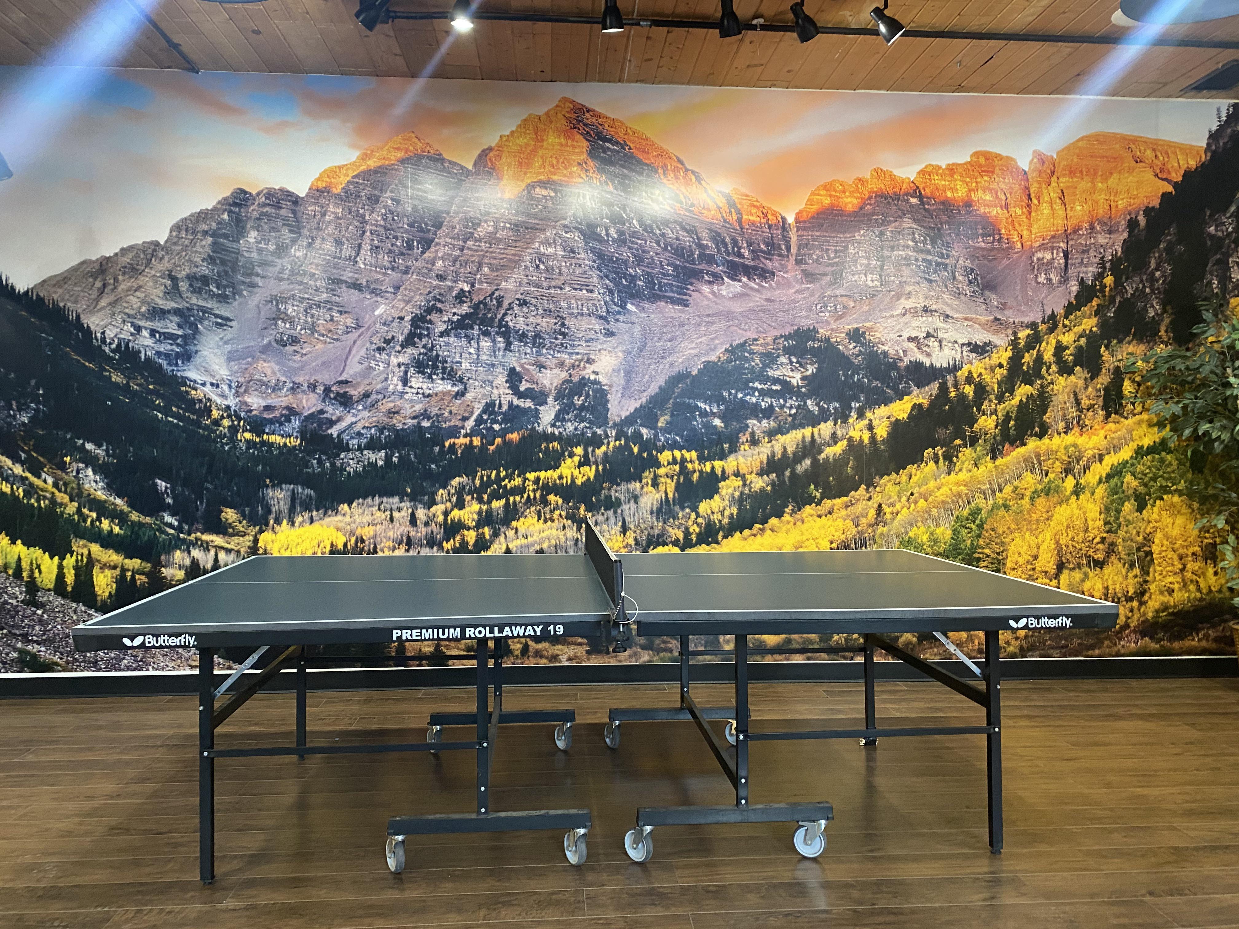 Just sharing my personal table tennis room r/tabletennis