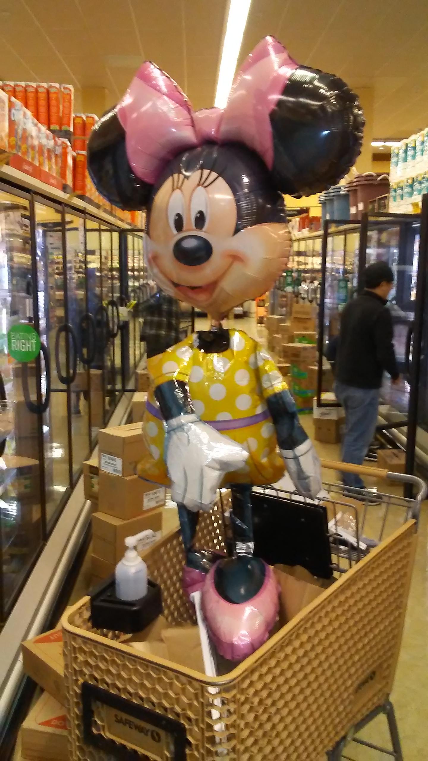Minnie Mouse goes shopping at Safeway (central MD). r/pics