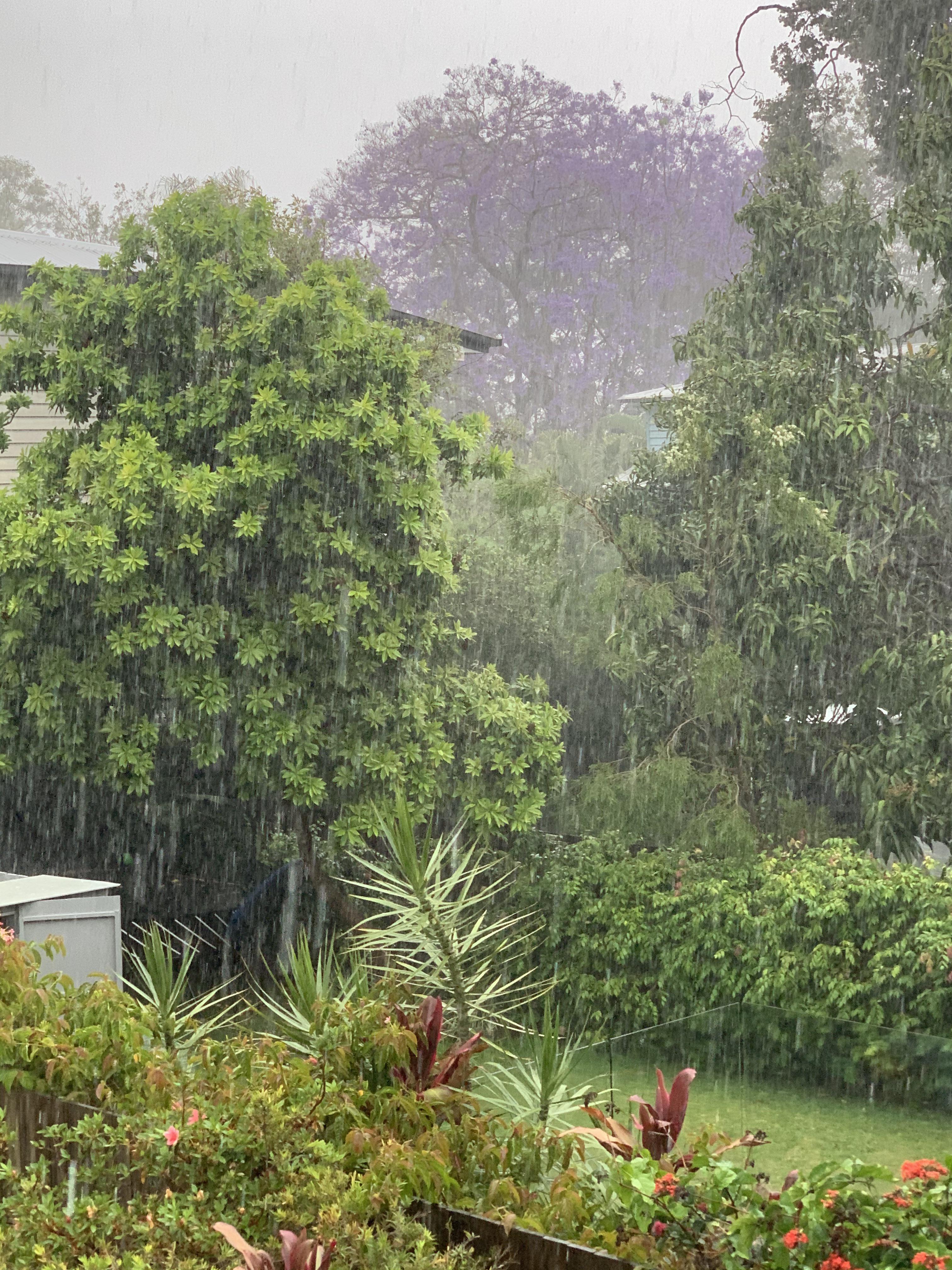 Brisbane springtime r/raining