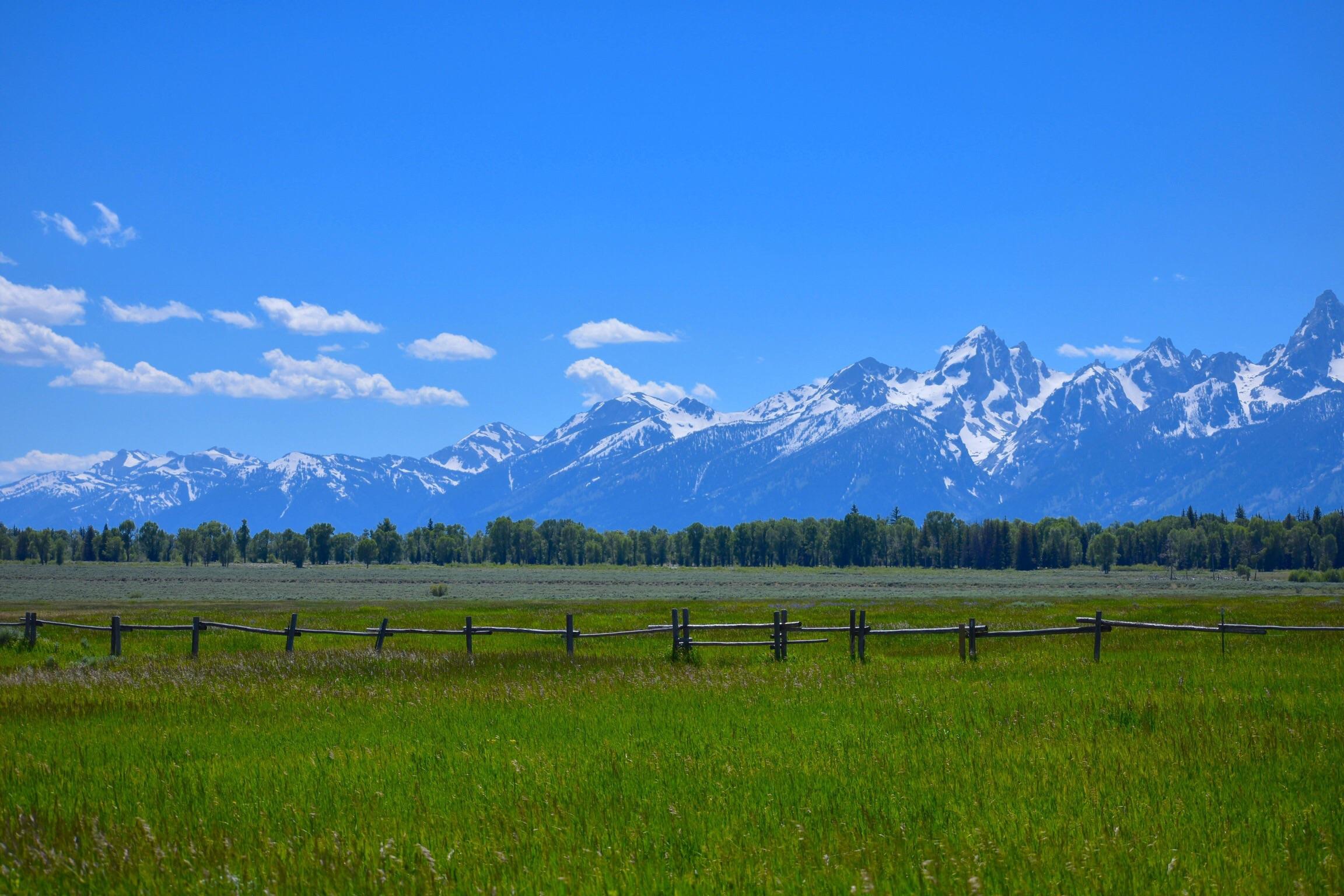 A snapshot outside a car window in Grand Teton National Park, WY [OC