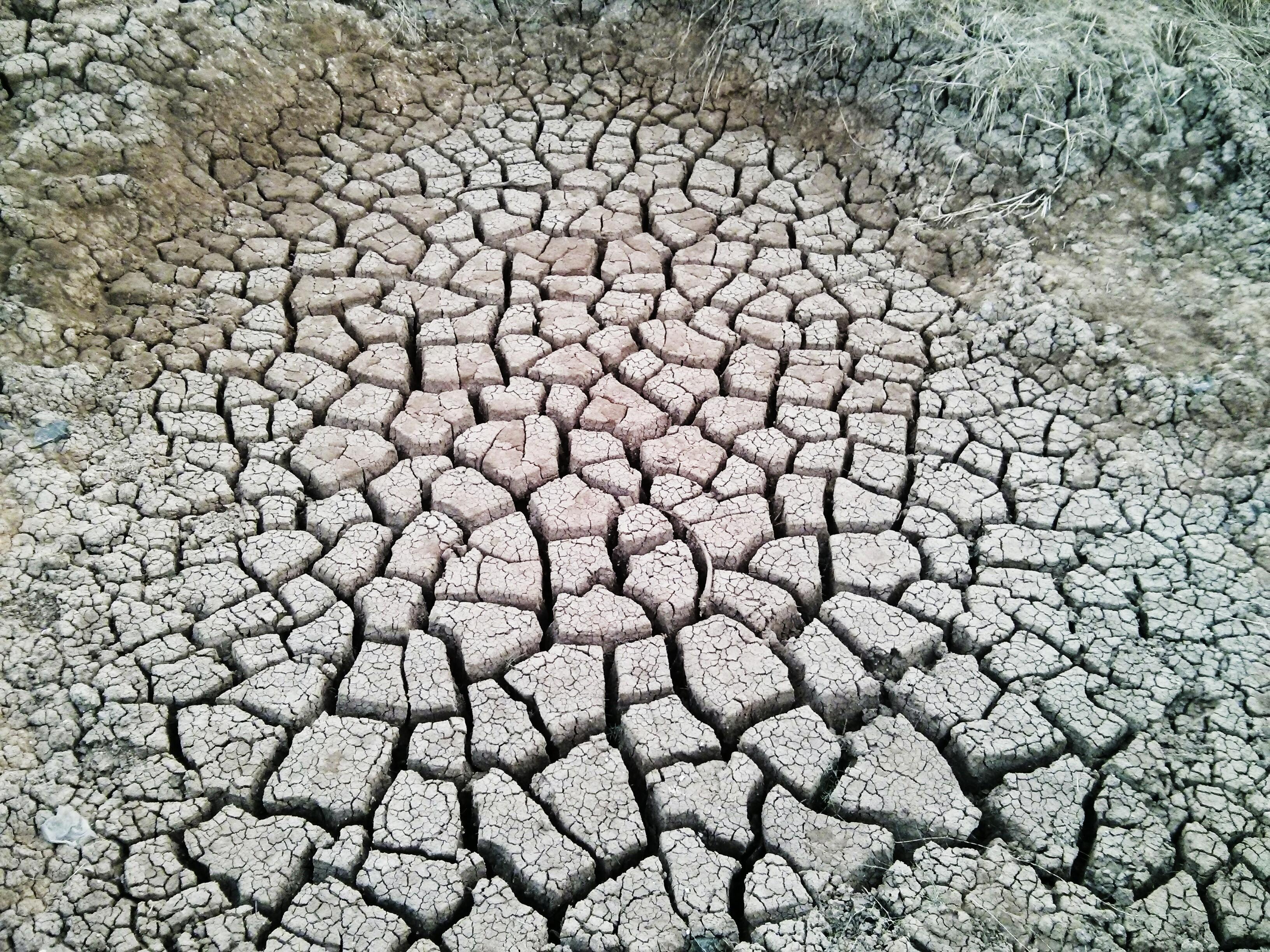 Cracks within cracks of this dried up water hole r/mildlyinteresting