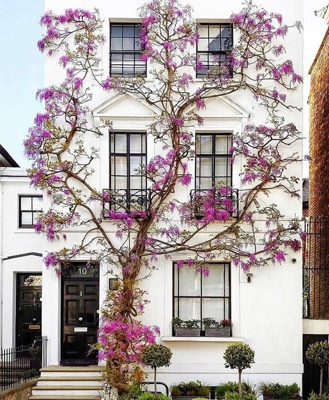 Lovely house. pics