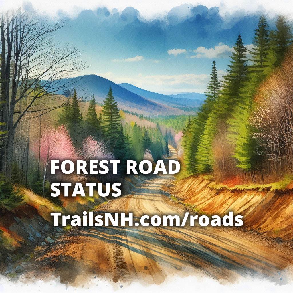 None of them are open yet, but should be soon r/wmnf