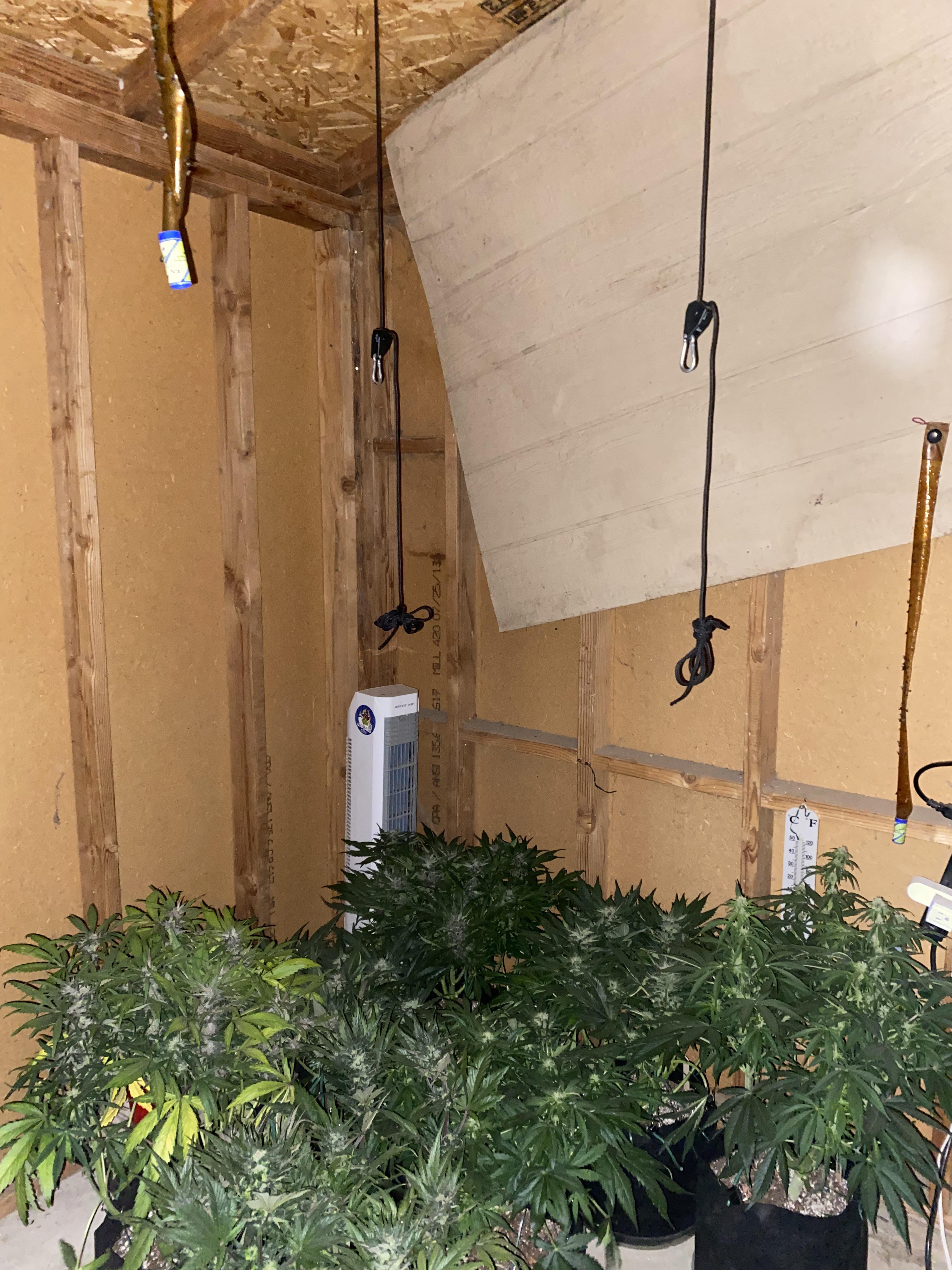 Reddit Dive into anything