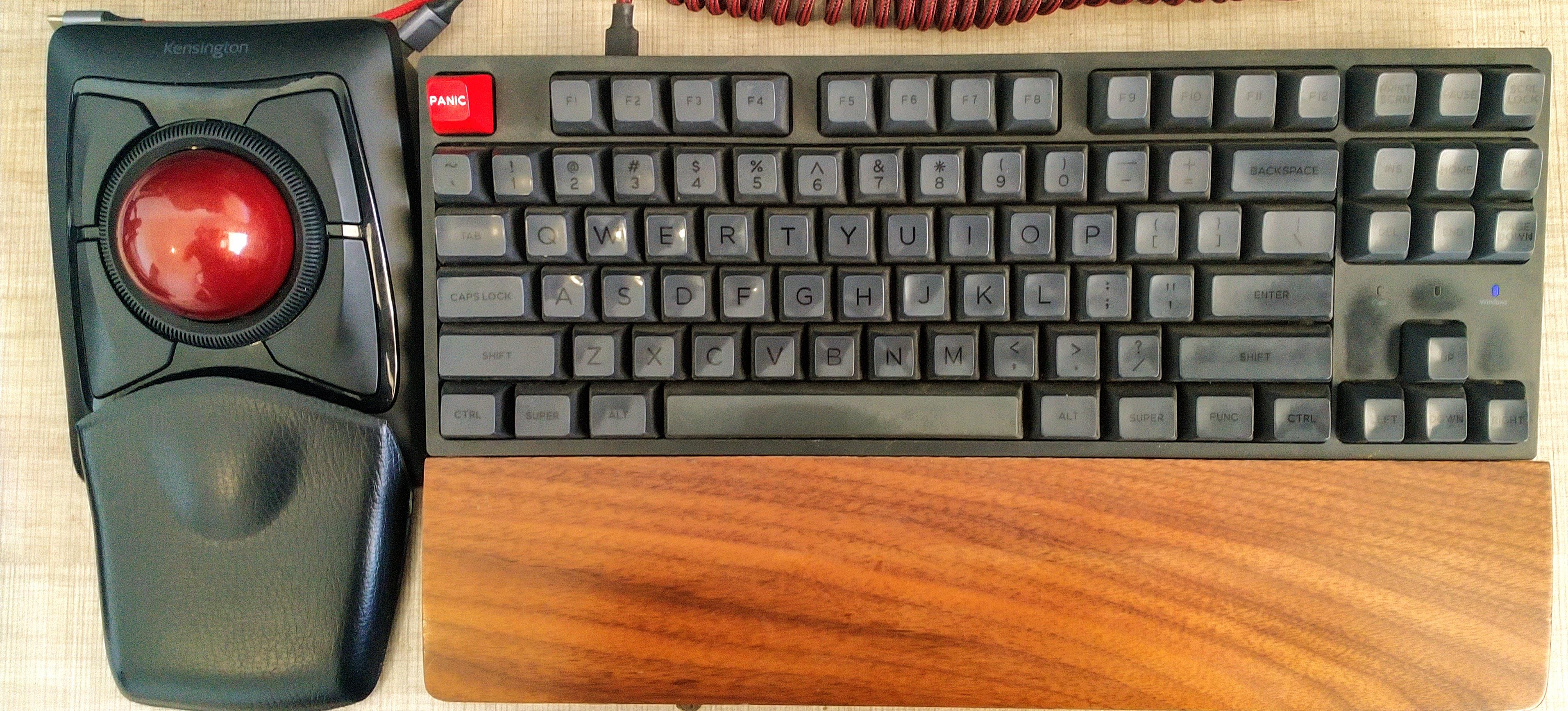 Kensington Expert Wireless, this thing is HUGE r/Trackballs