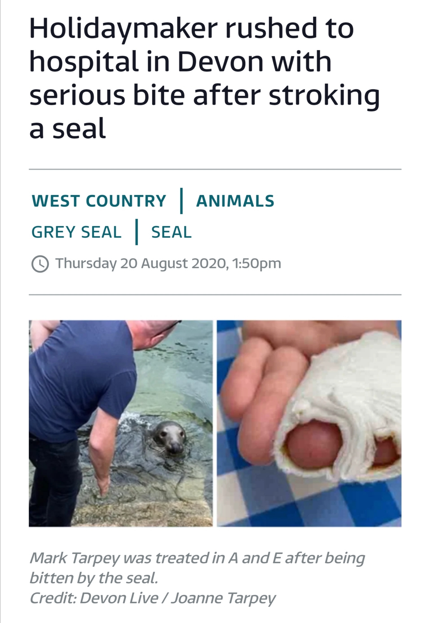 Loose Seal! Loose Seal! r/arresteddevelopment