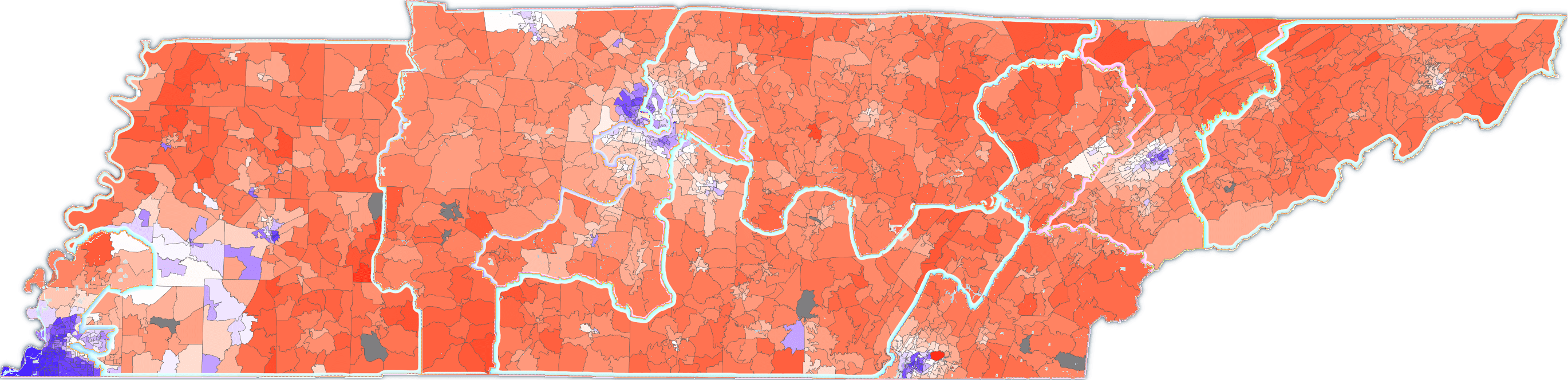 TN Precinct level results in the 2020 Presidential election, with new
