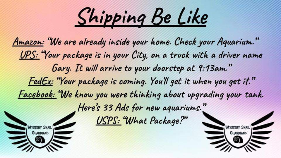 Getting Aquatic Animals Shipped During The Holidays or Covid r