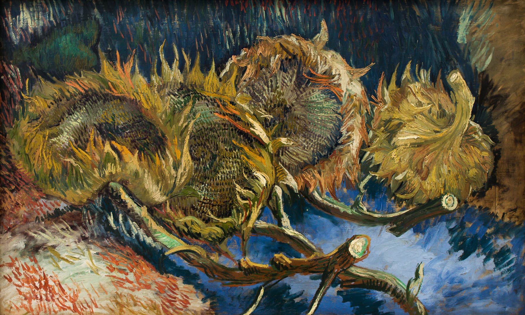 Four Sunflowers Gone to Seed, Vincent Van Gogh, 1887, [1796 x 1080] r
