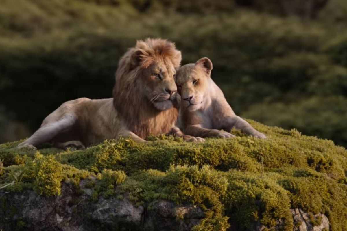 In a scene from The Lion King (2019) Simba and Nala sing "Can You feel
