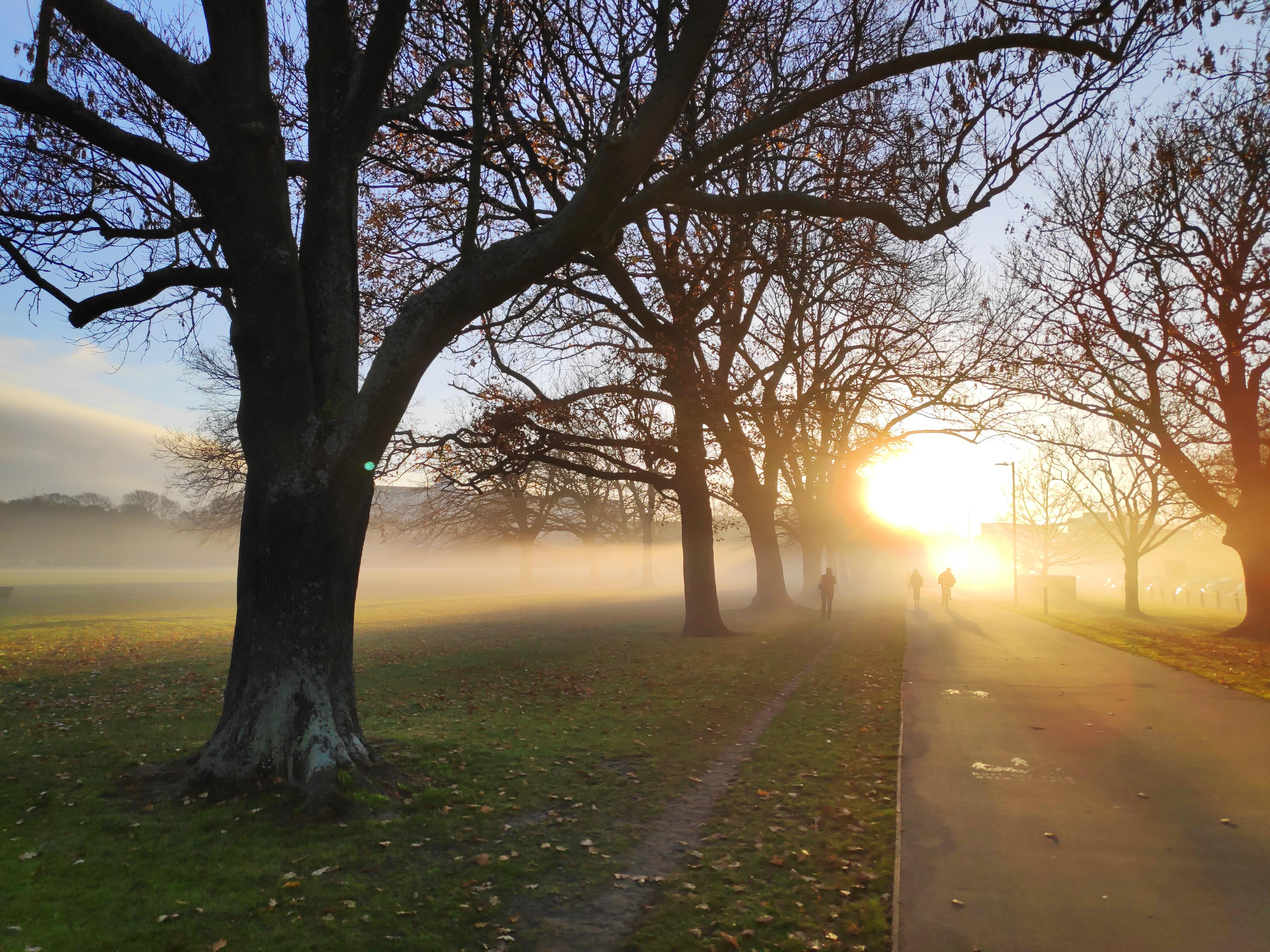 Hagley Park this morning AveragePicsOfNZ