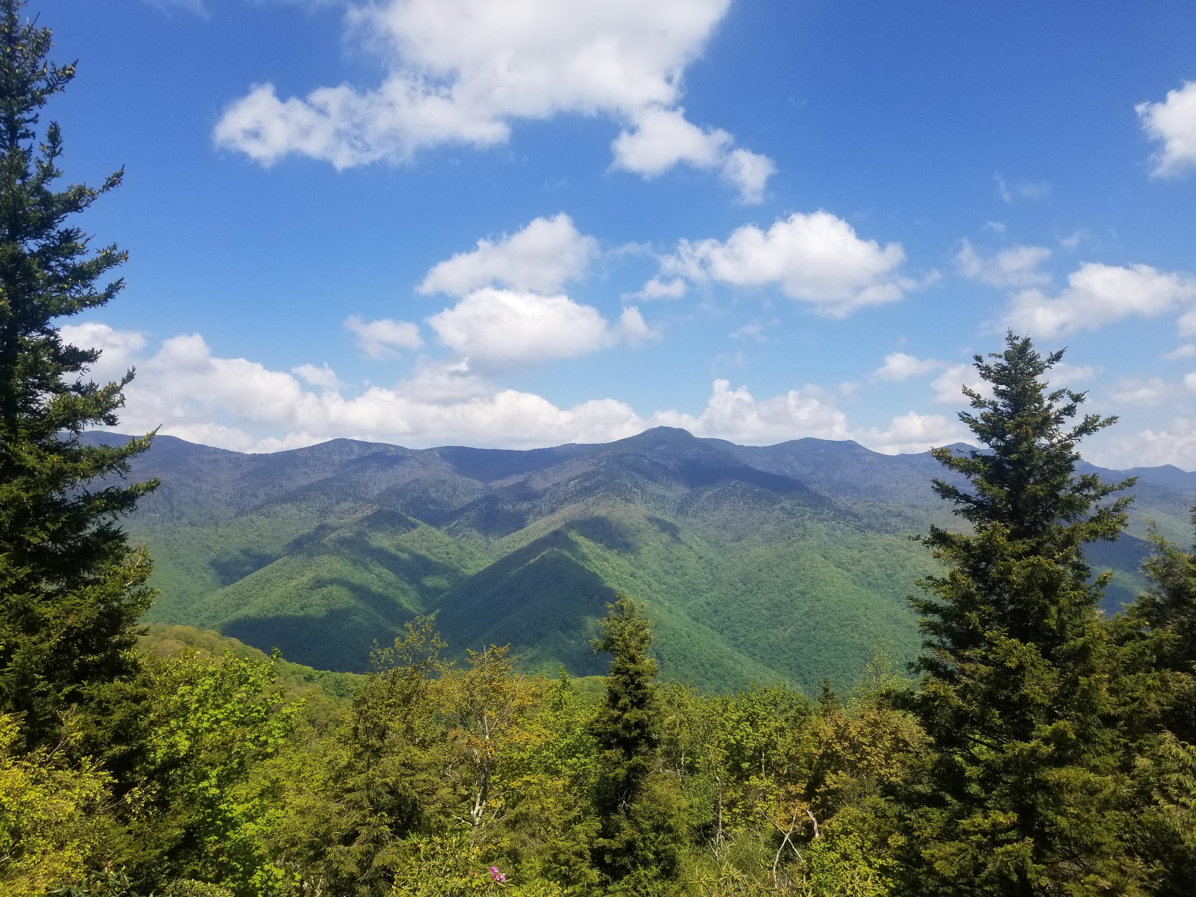 Beautiful view of Mount Mitchell, NC r/NorthCarolina