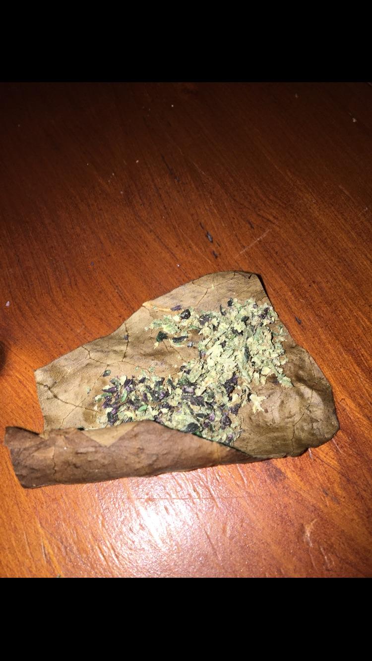 Vanilla Backwoods x Purple Kush x Northern Lights r/weed