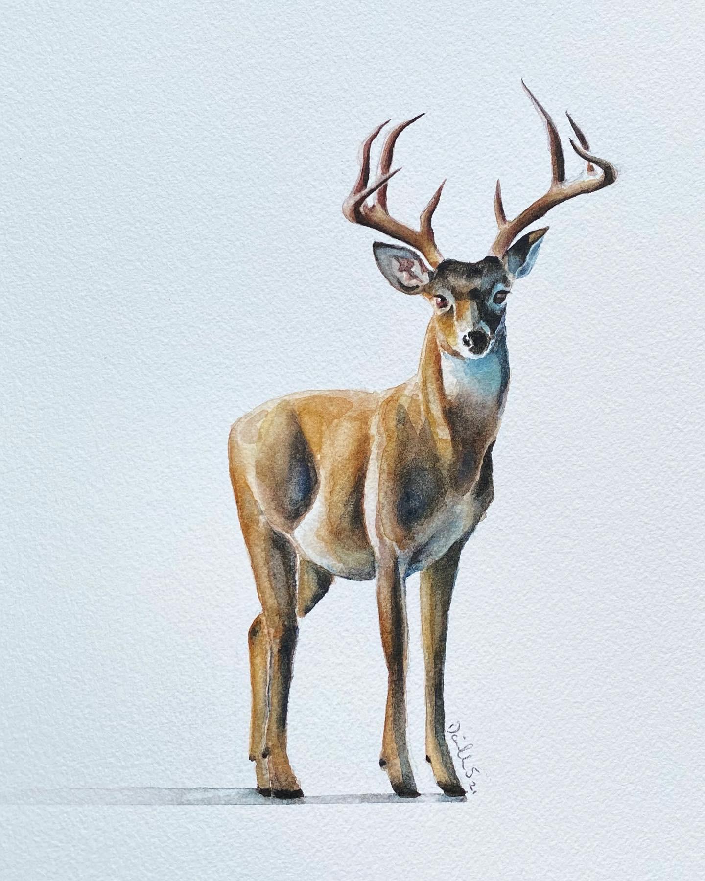 Painted a deer with watercolours! r/pics