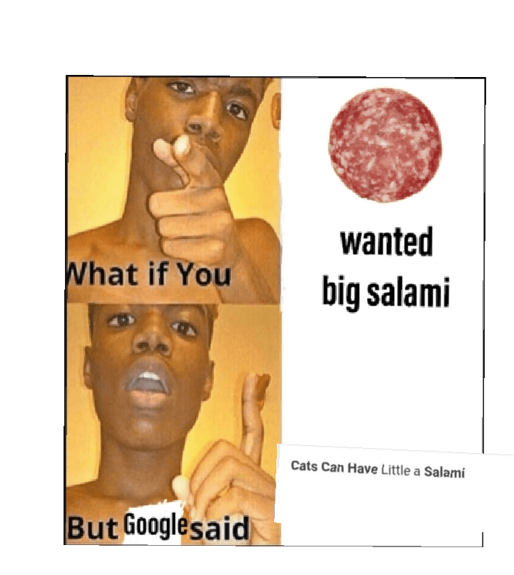 I wanted big salami man r/memes