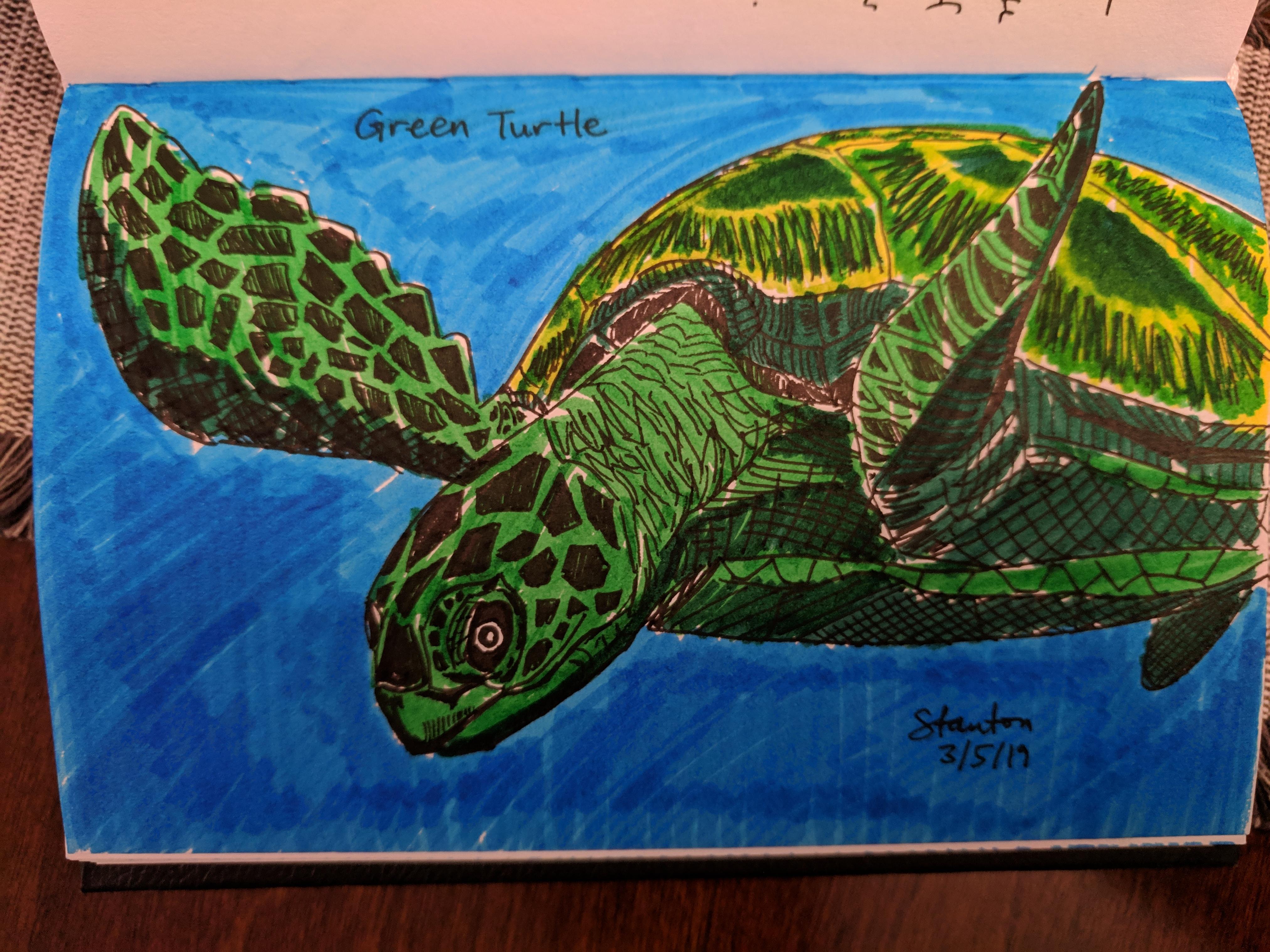 Anyone know how to do coloring with markers without streaks? Didnt realize it would come out