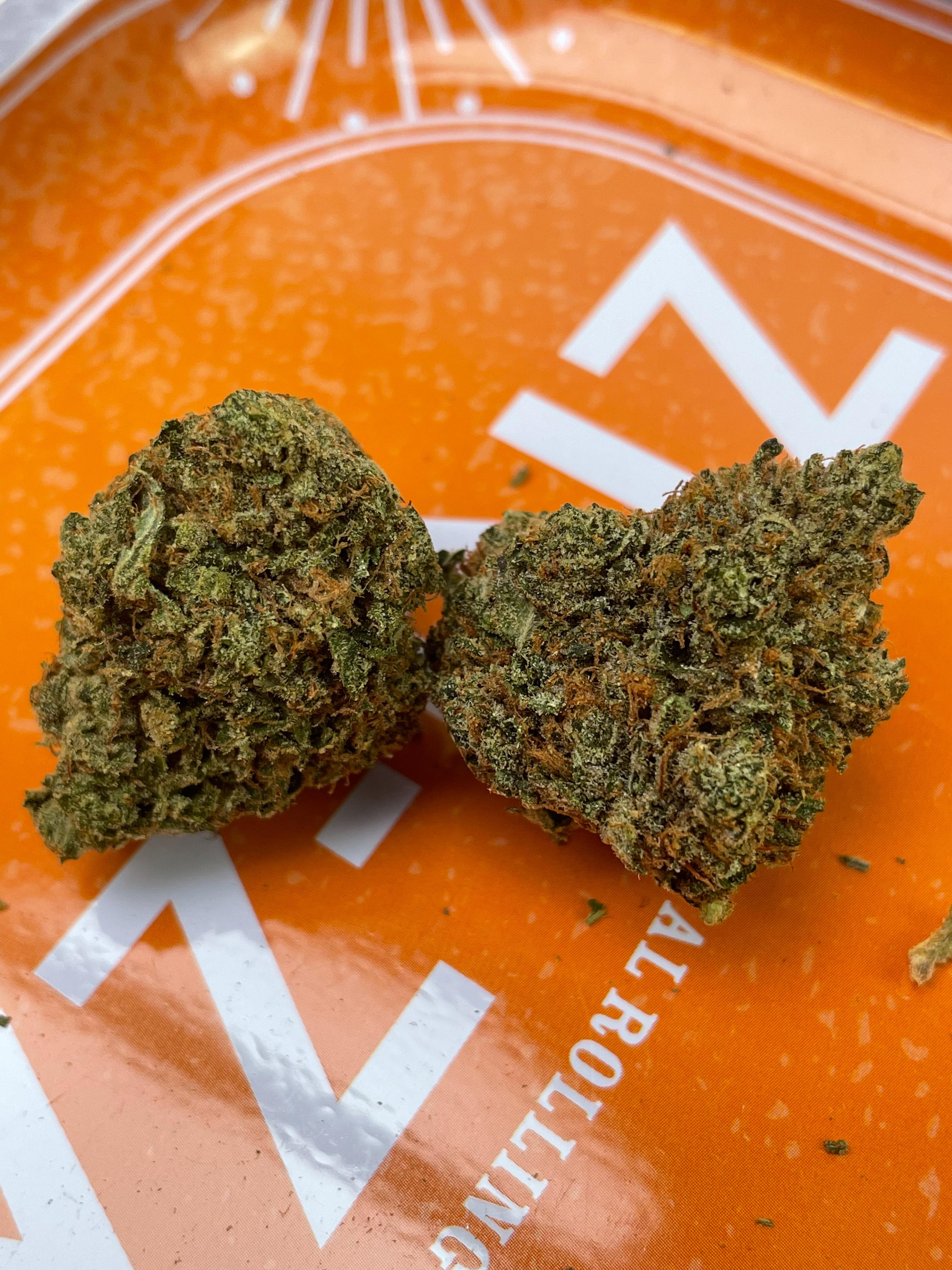 BuyLowGreen Coupons, Reviews, Promo Codes, & More MOMIndex