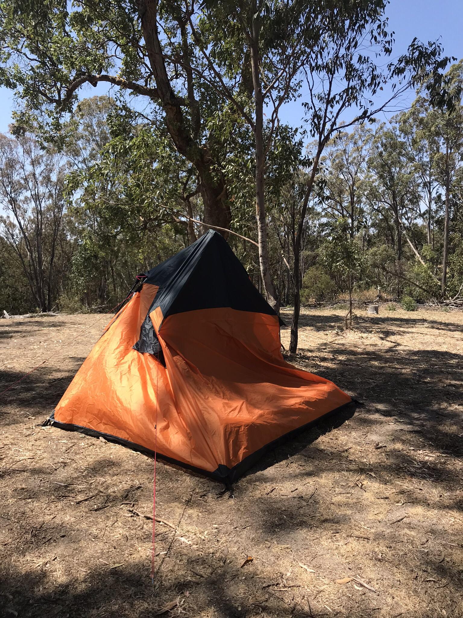 Wind vs Kmart tent r/camping