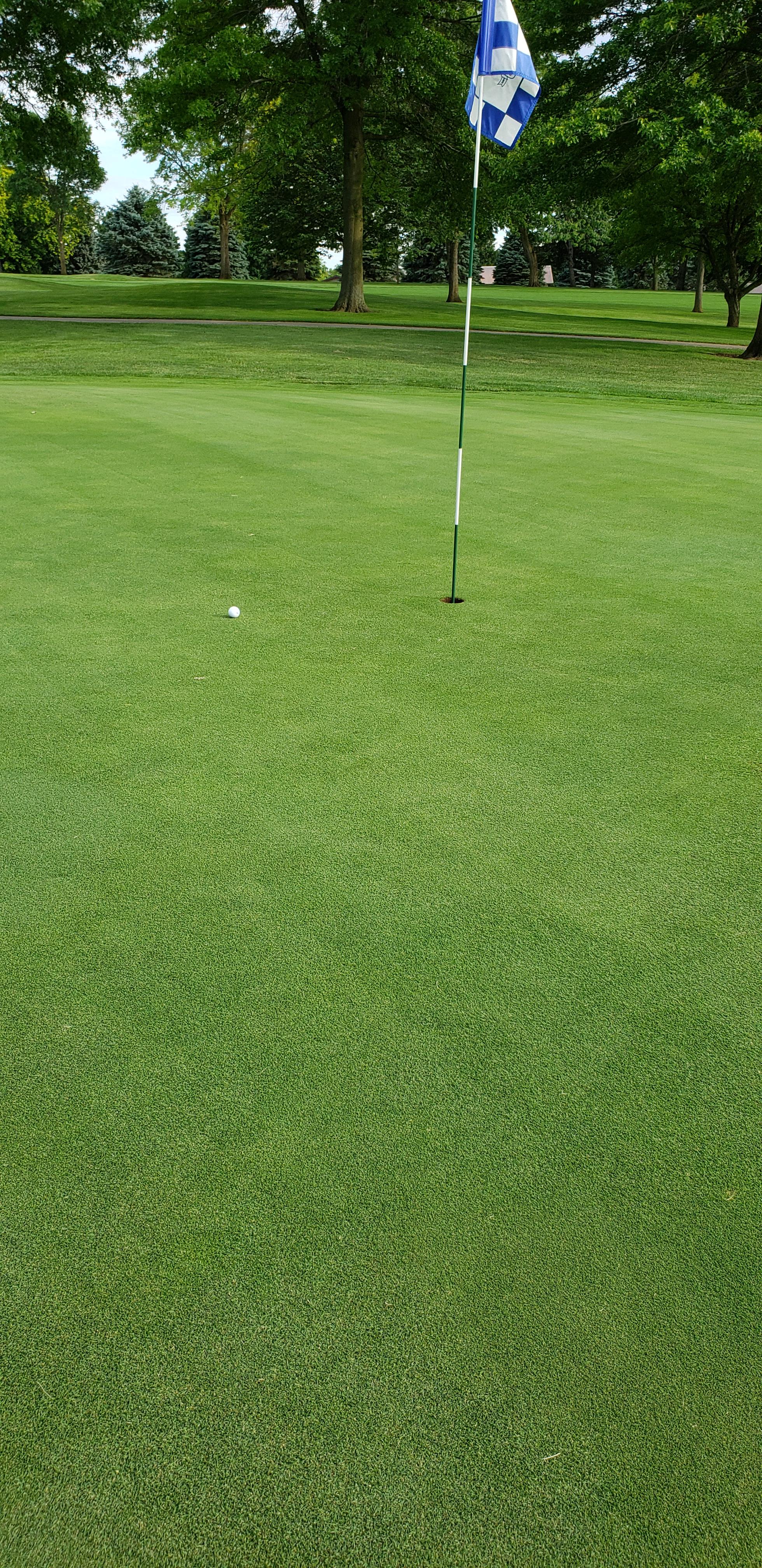 Best I've ever hit, 210 yrd par 3 that's always eaten me alive. Hit a