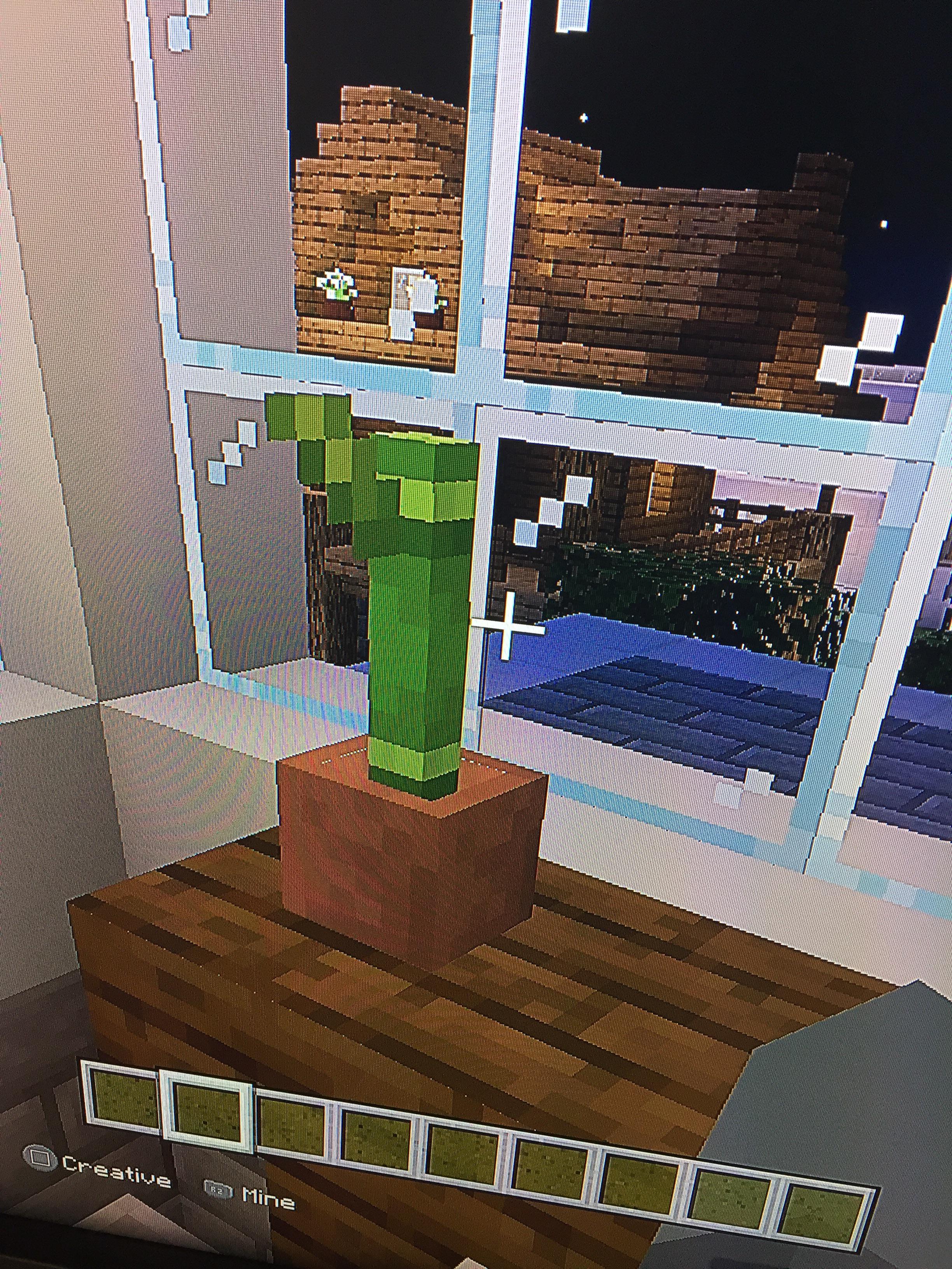 Just found out you can put bamboo in flower pots (apologies for bad