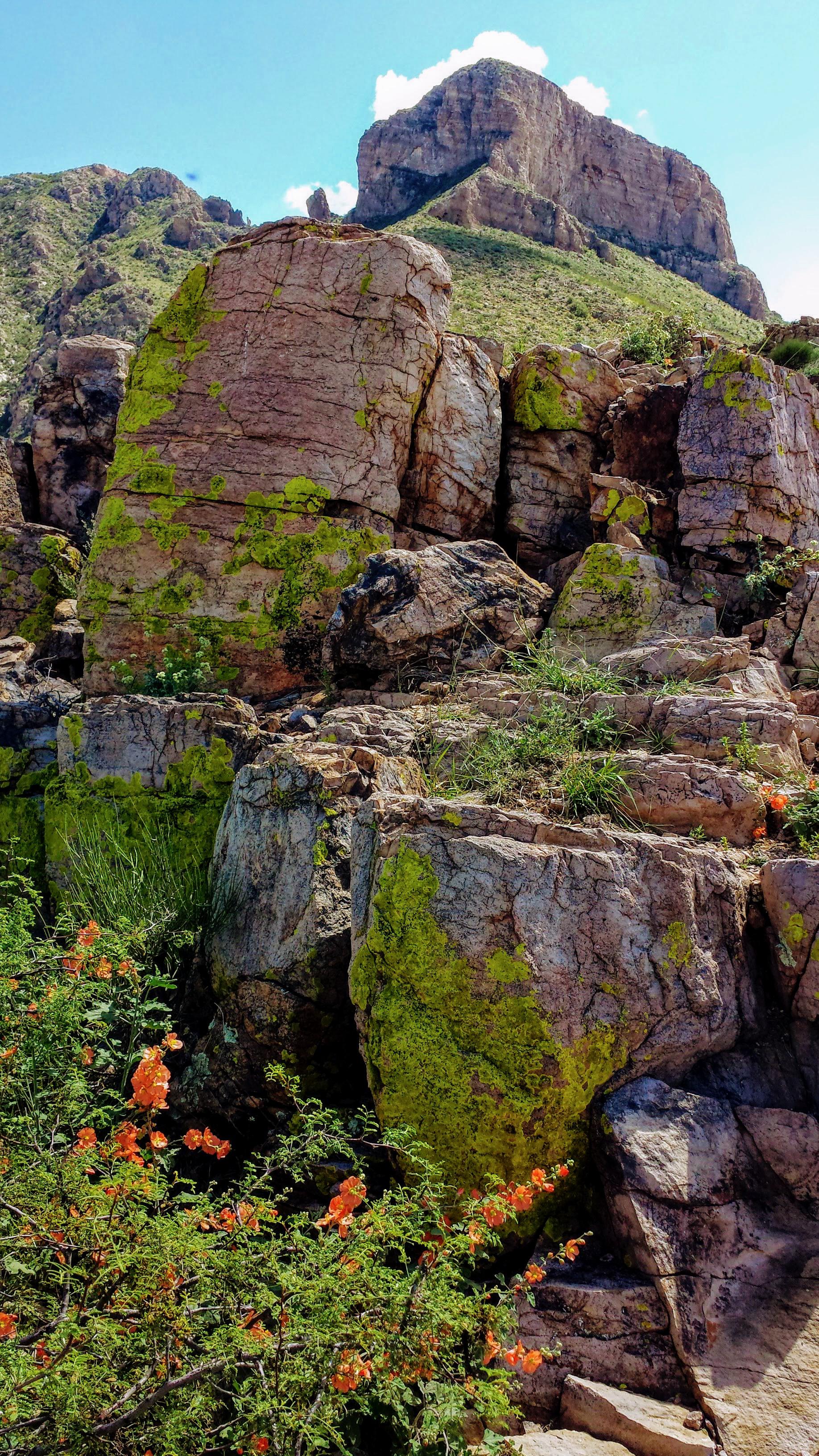 El paso, Texas. Franklin mountains (Ron Coleman trail! r/mountains