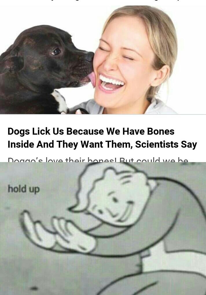 How long do we have r/dankmemes