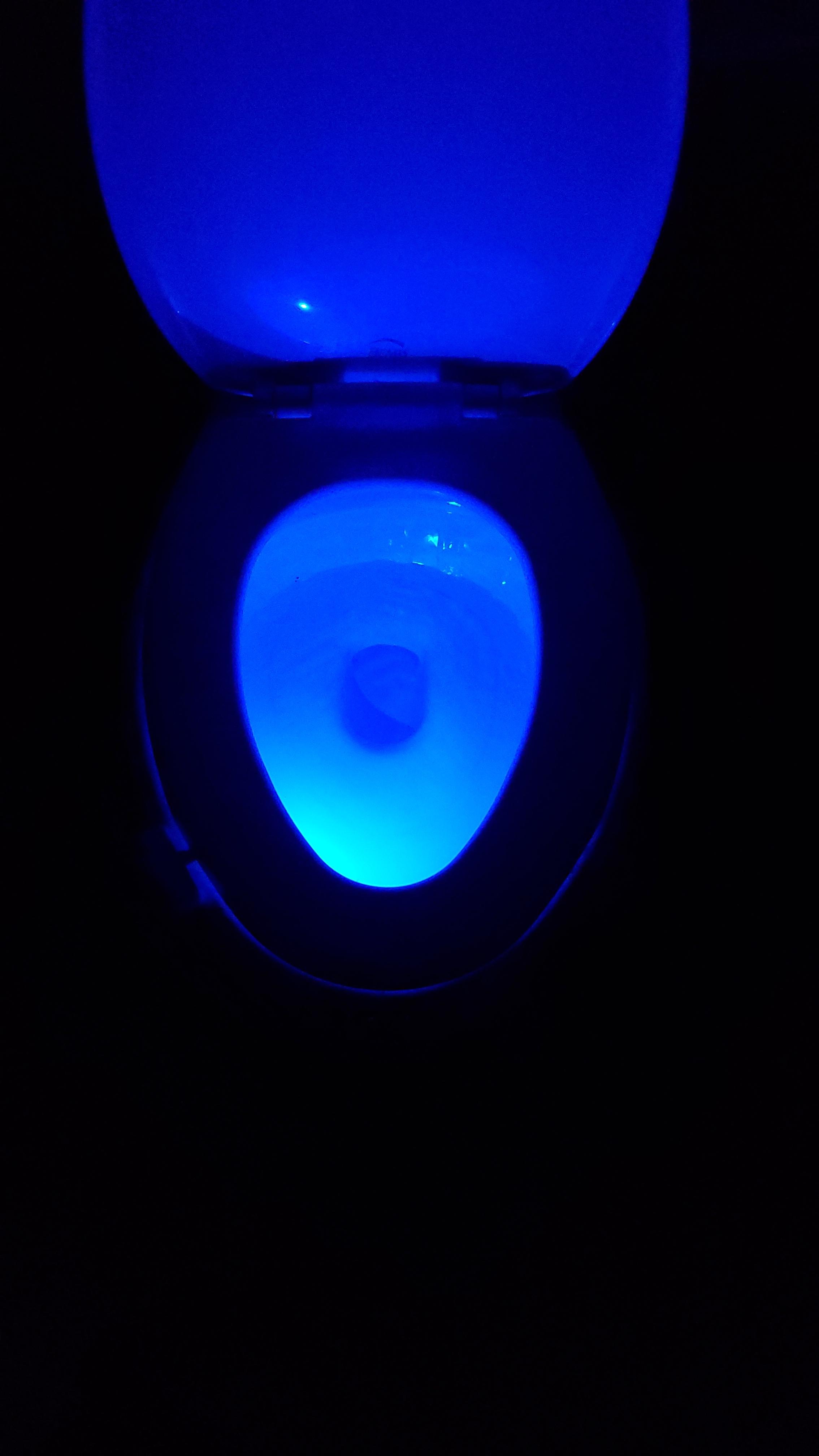My MIL got me a toilet light stocking stuffer r/mildlyinteresting