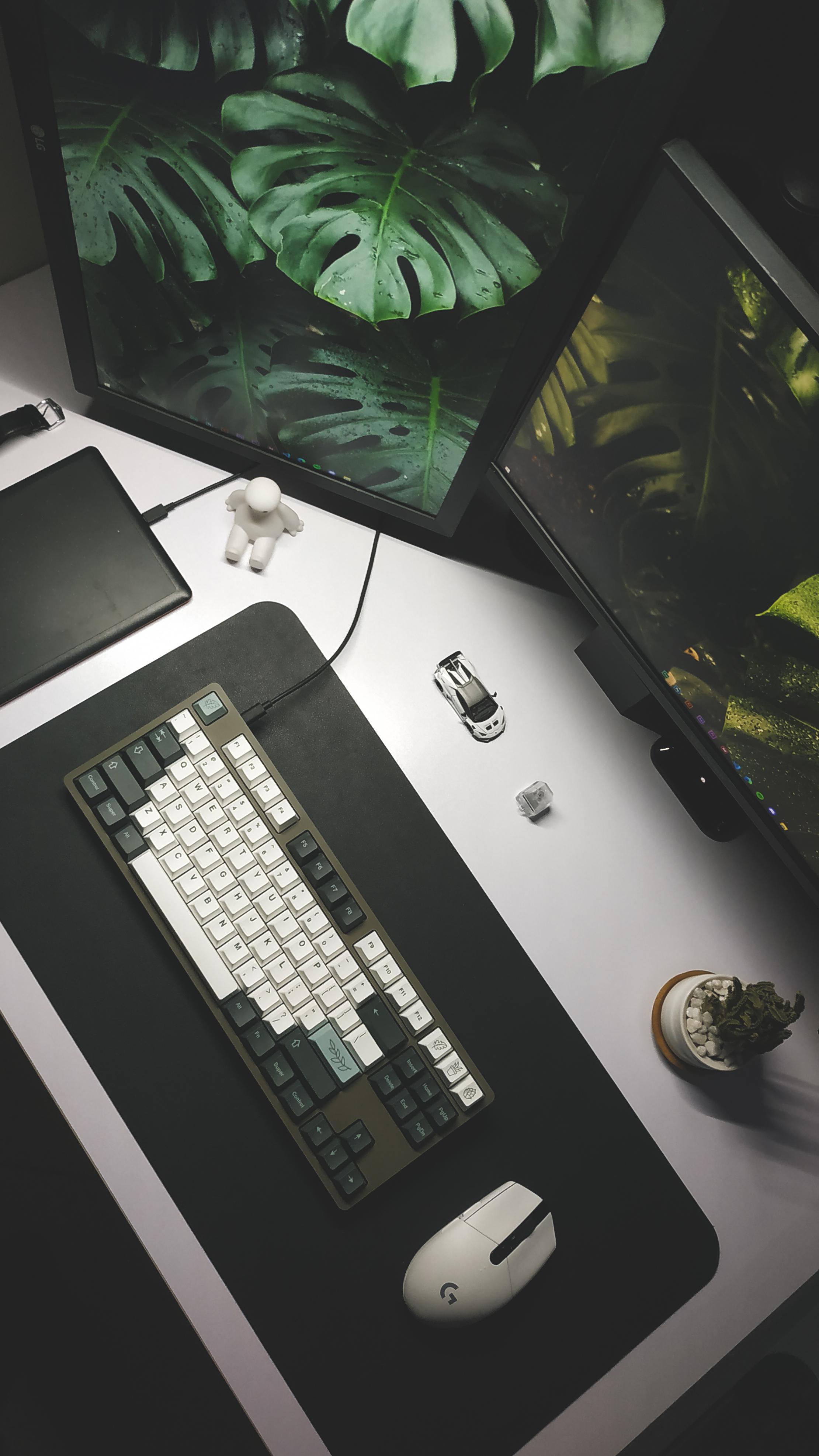 Drop ENTR x GMK Botanical clones. I was a bit skeptical about the