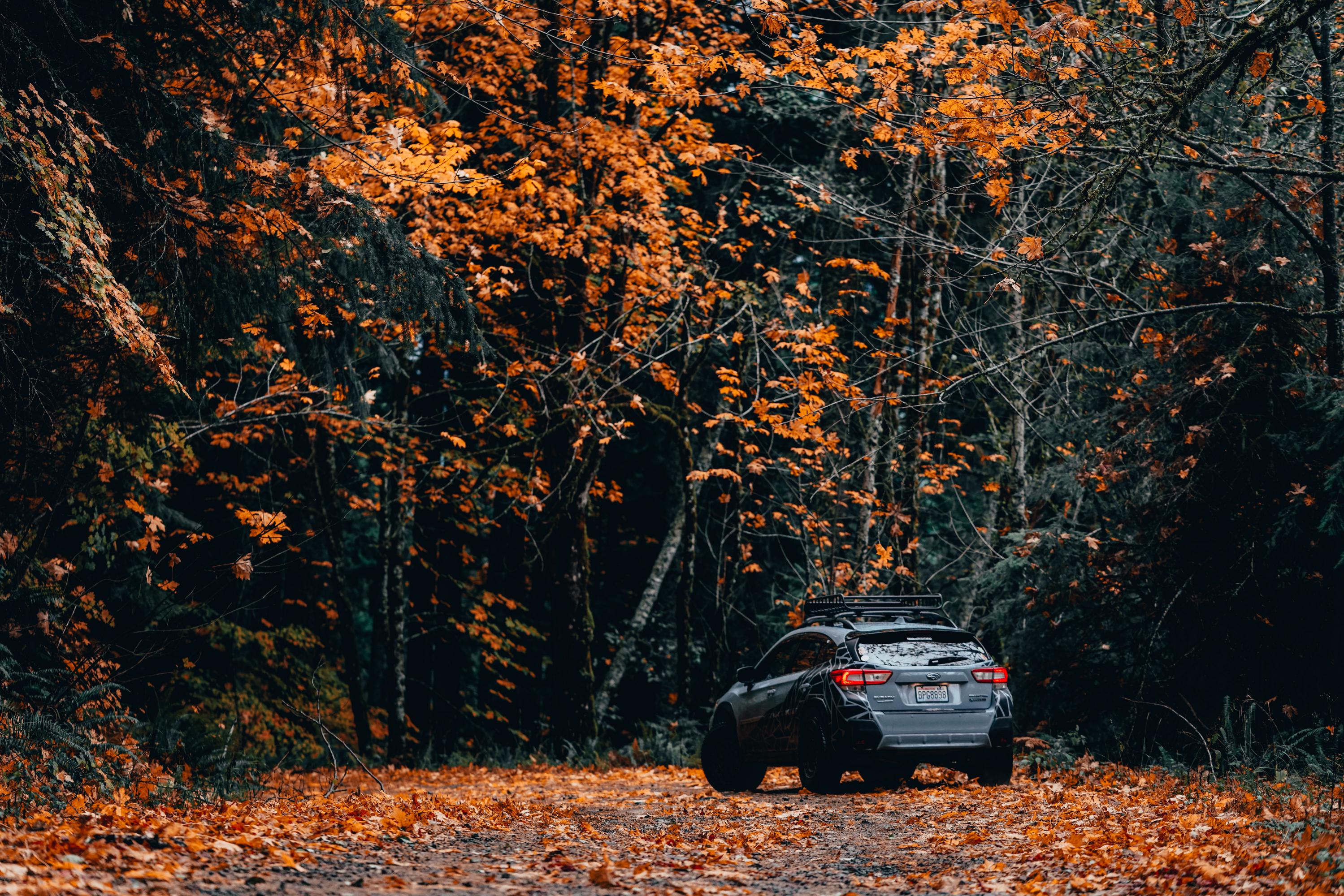 Had to go find some Fall before it turns winter! r/subaru