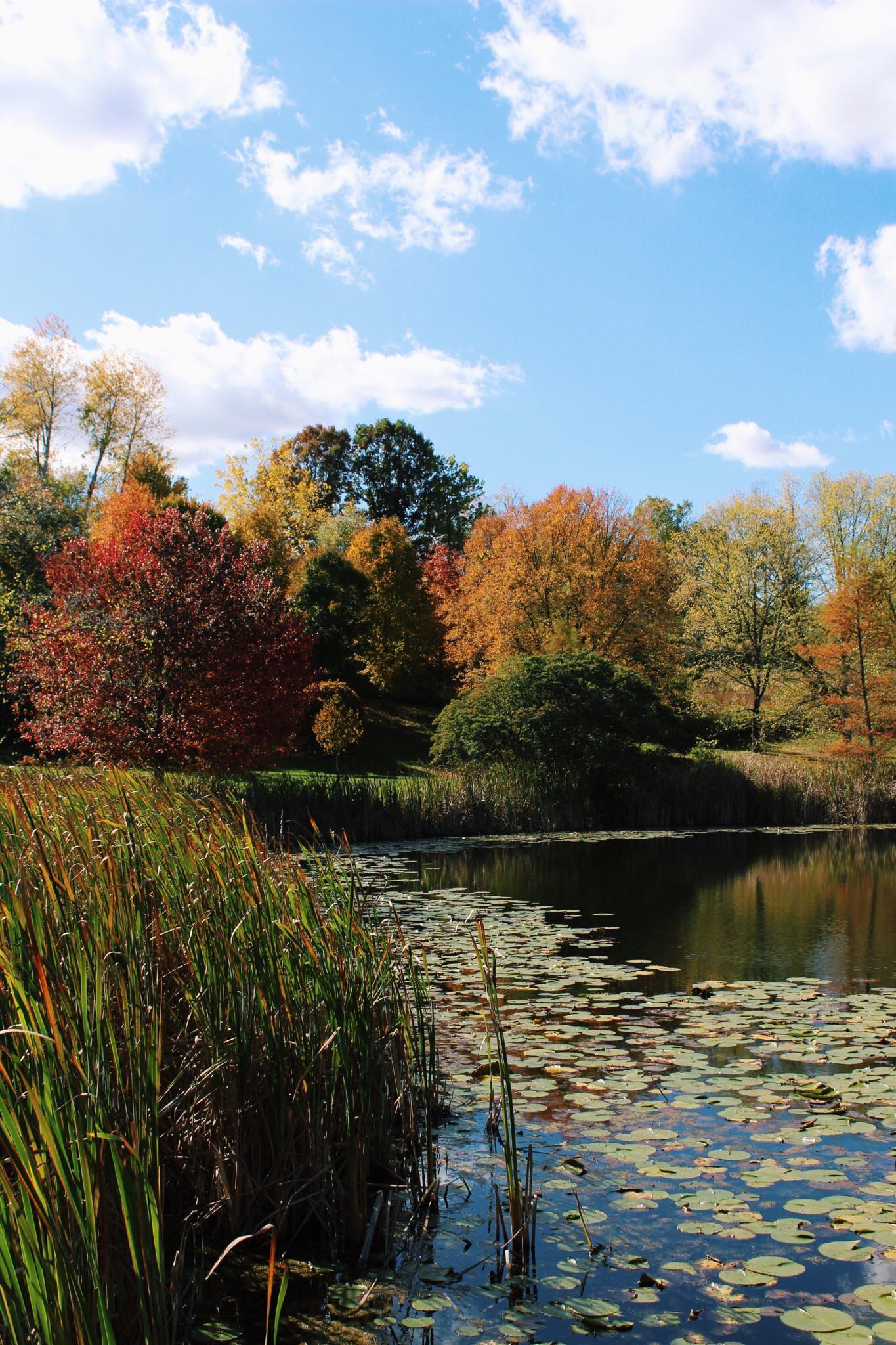 (OC) Ithaca, NY AutumnPorn