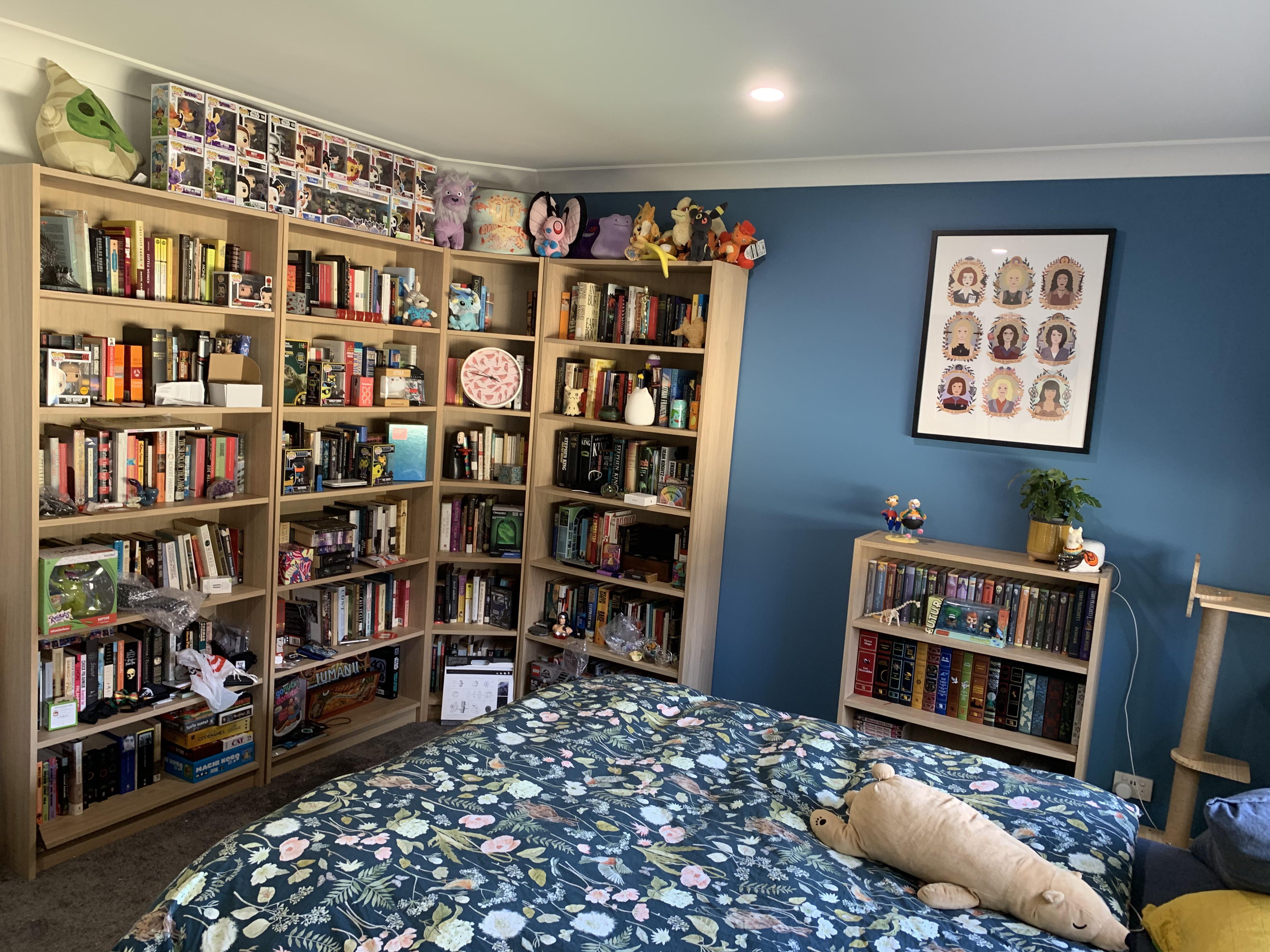 Bedroom Library Ideas