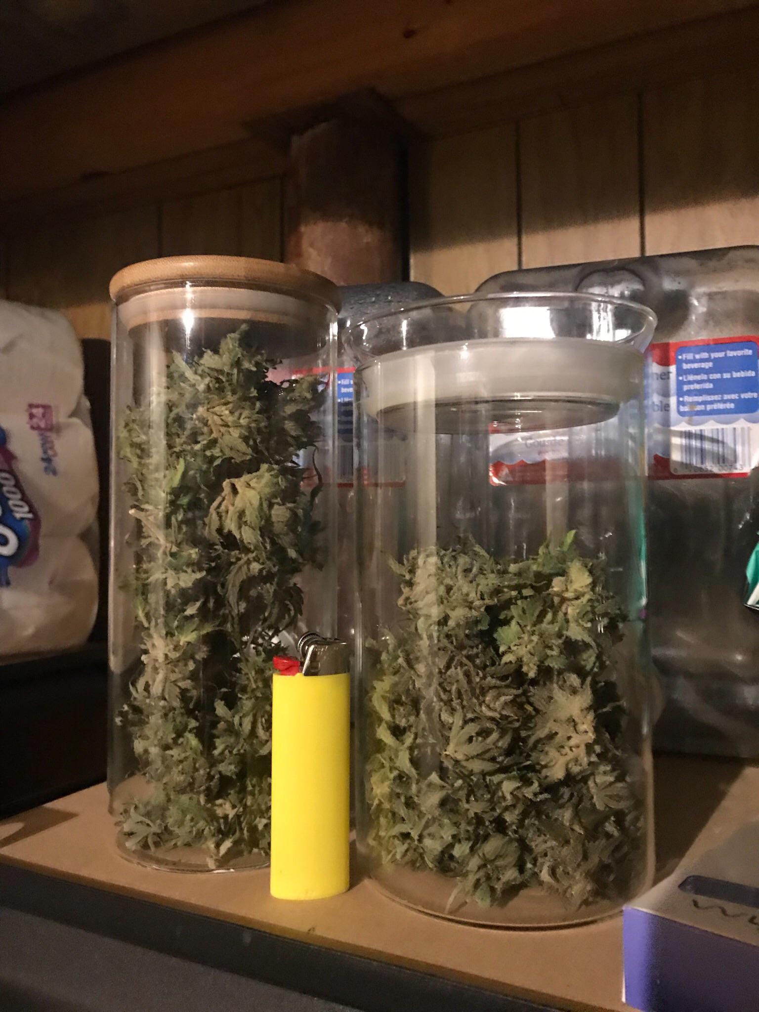 My buds are really airy and not thick. 3 months growth, were