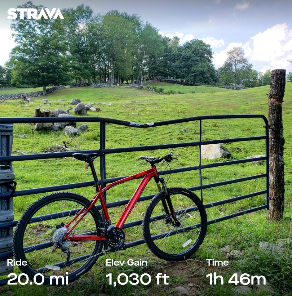 I'm pretty new to cycling and I really need to get a road bike, but it