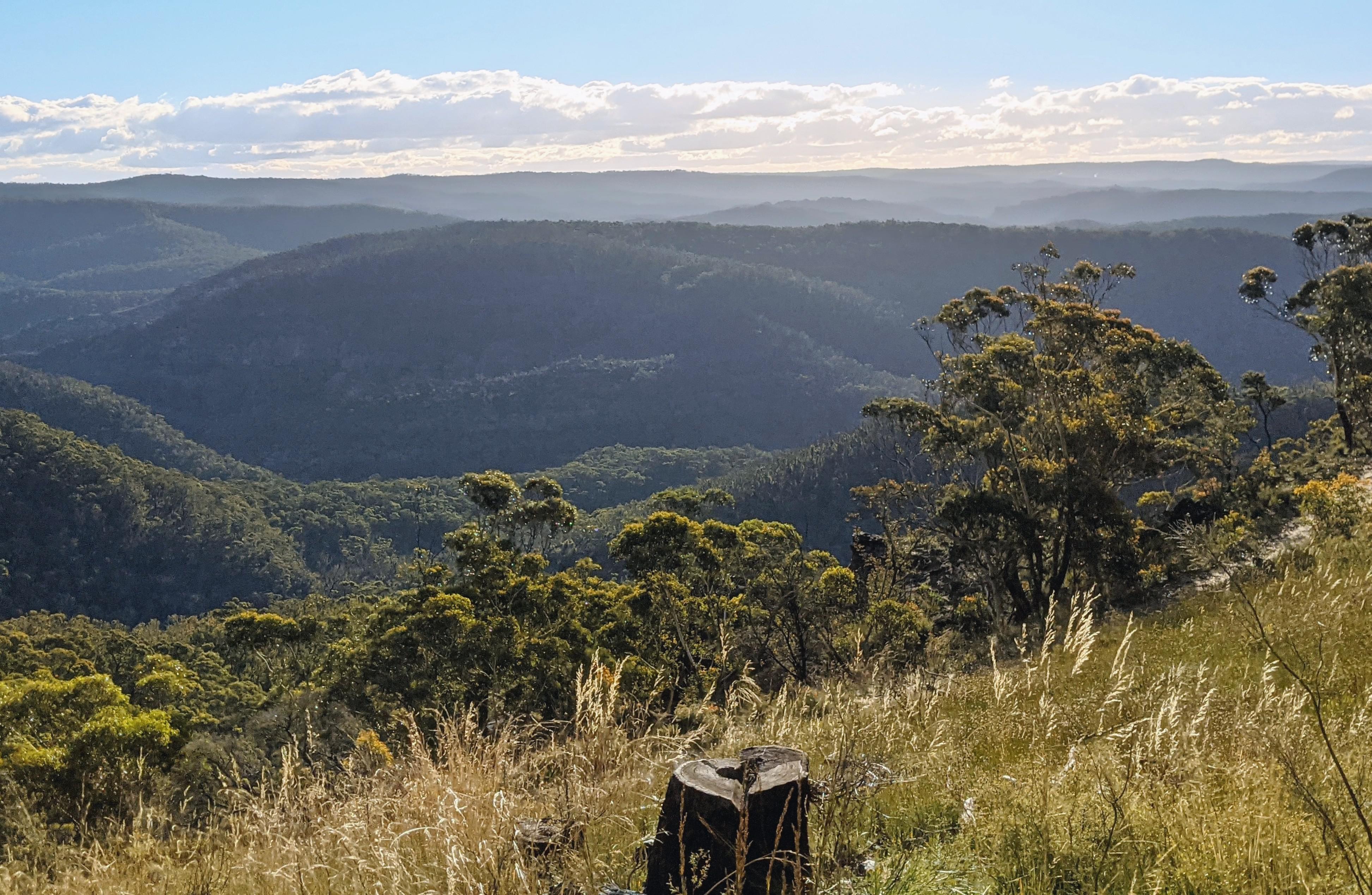 Secret lookout in Breenhold Gardens, Mt Wilson r/sydney