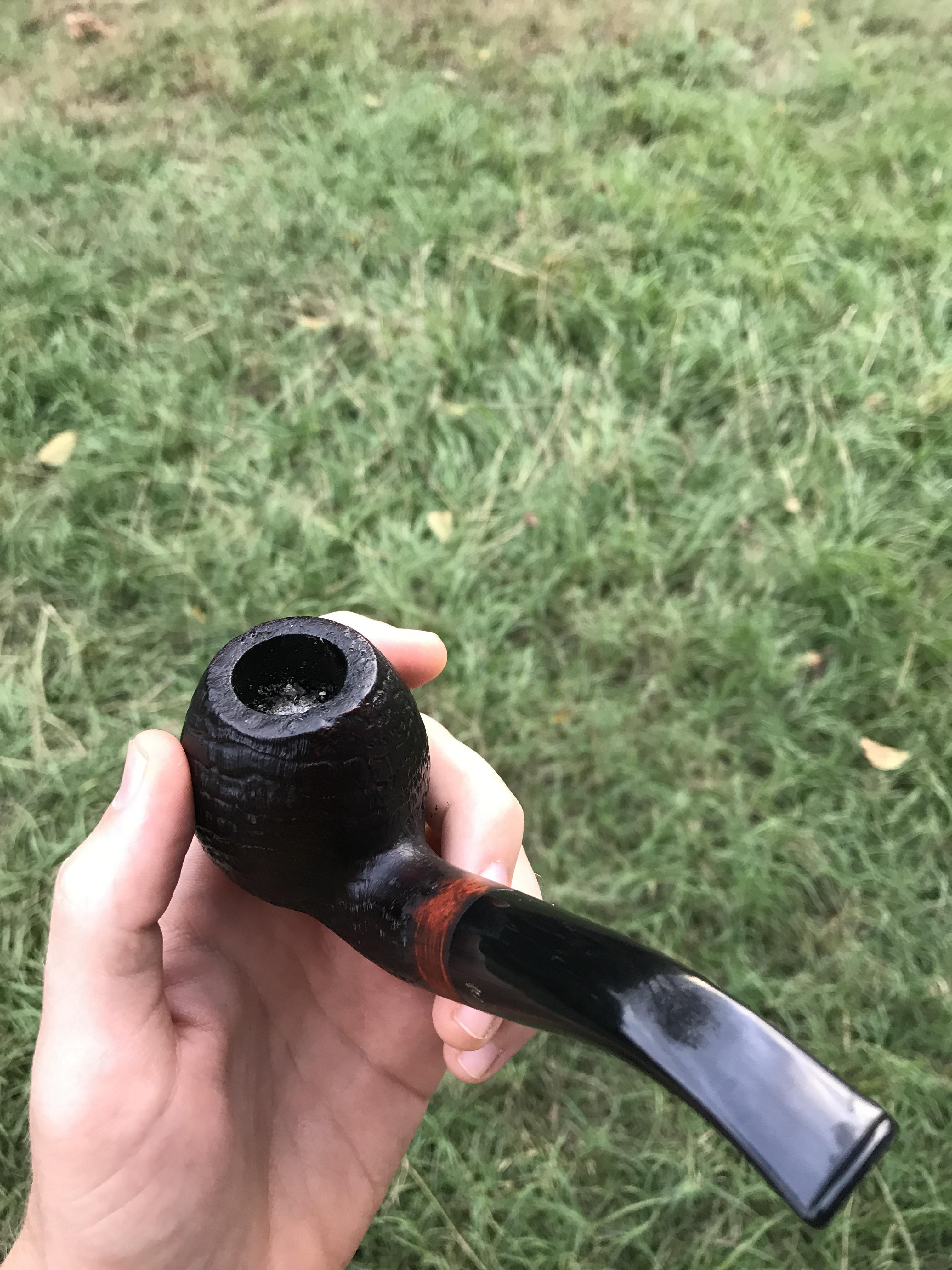 First bowl of plum pudding after your Amazing blend