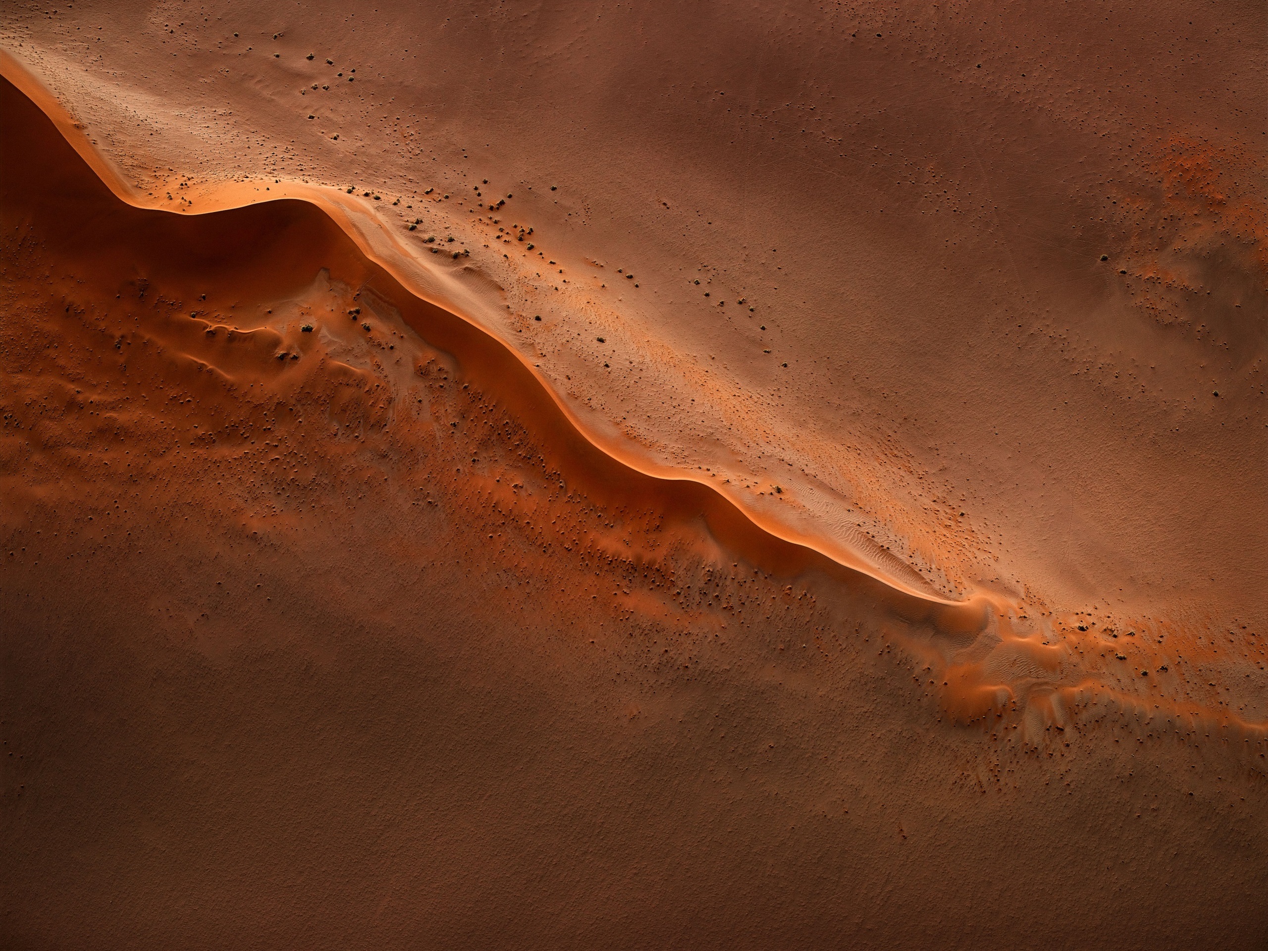 Dune Wallpaper (WB FrenchCon) dune