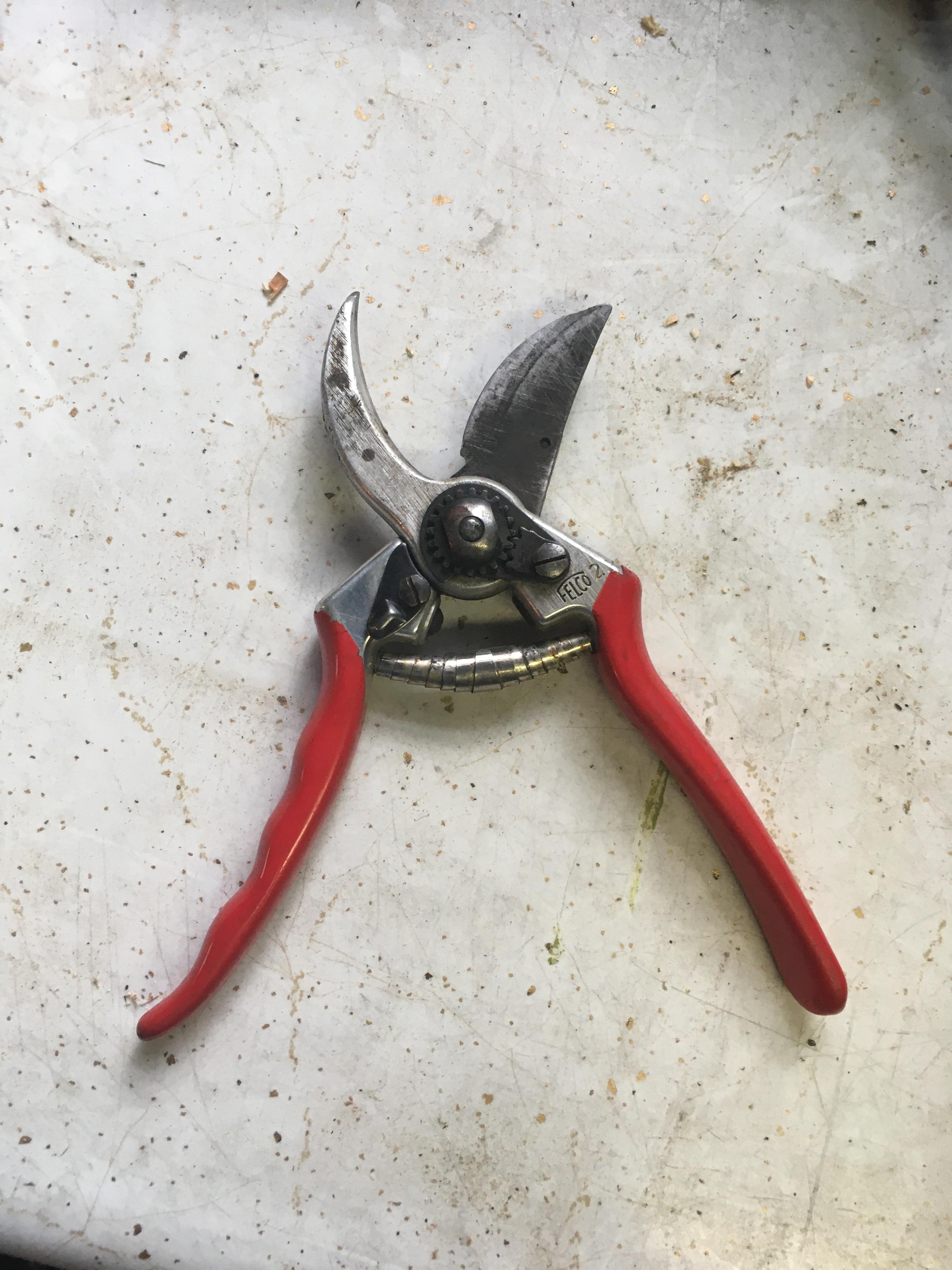 Felco 2 pruners. I bought these 16 years ago when I worked landscaping