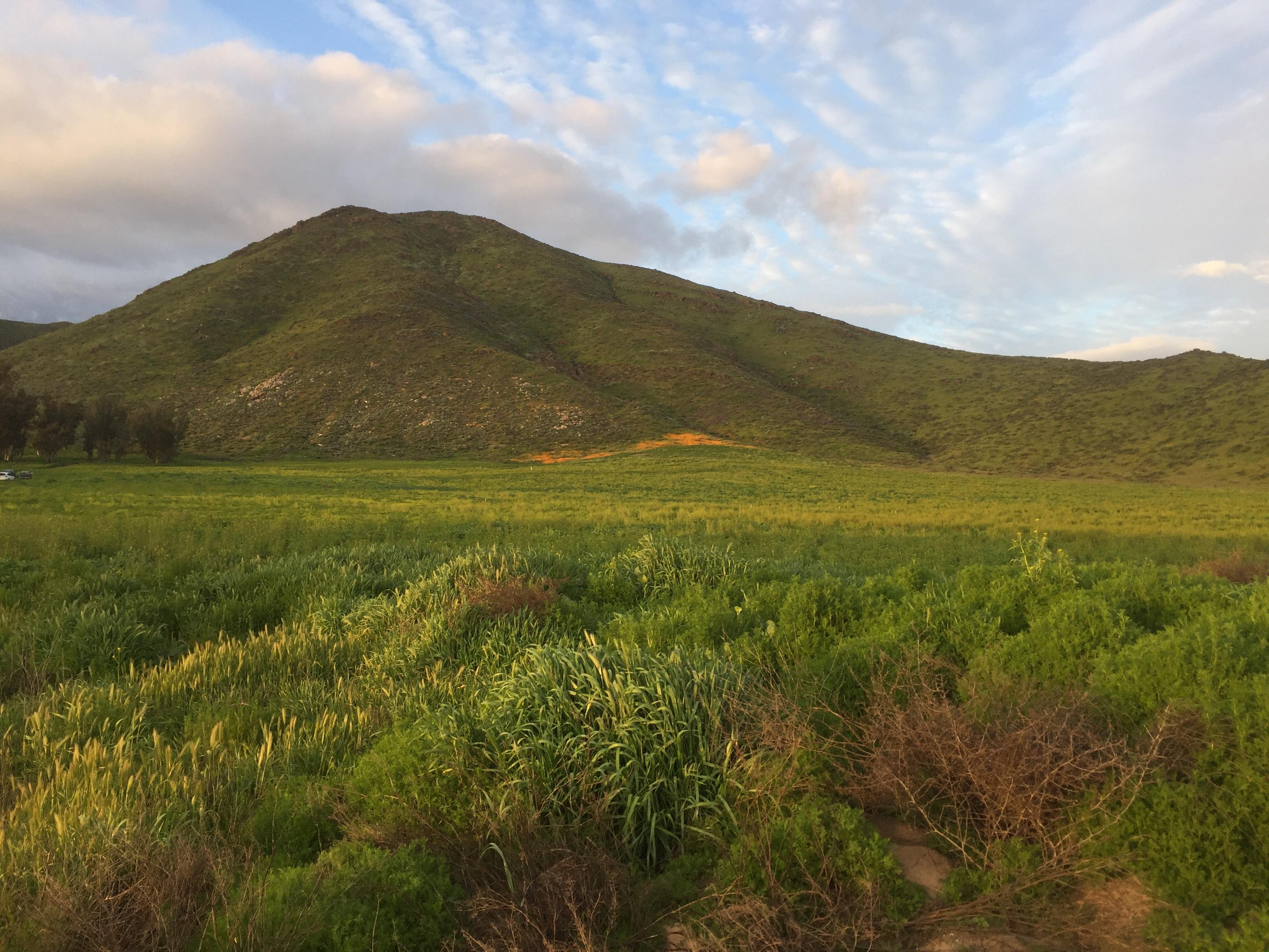 Winchester, California after a wet winter. [1334 x 750][OC] r/EarthPorn