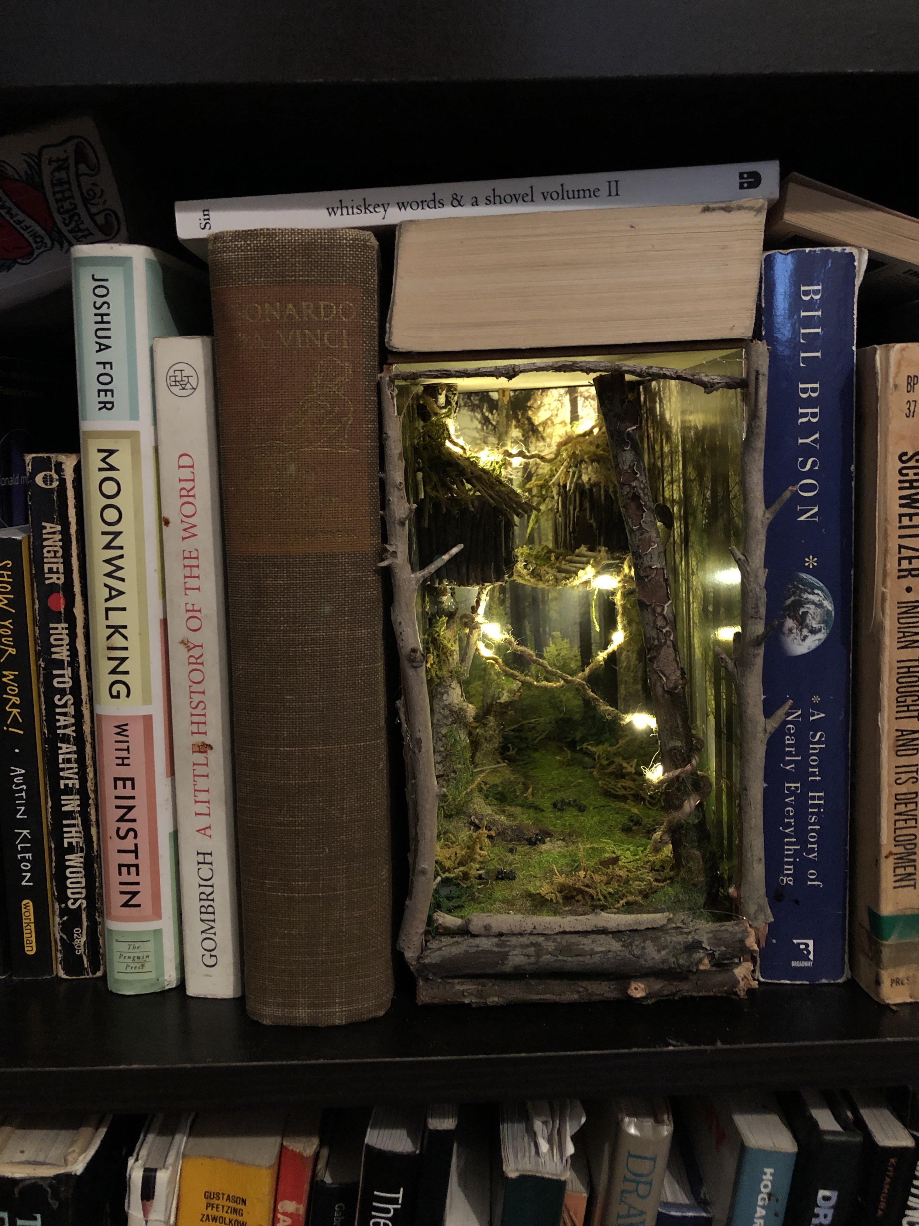 Created my first booknook inspired by Endor from Star Wars. Bookshelf