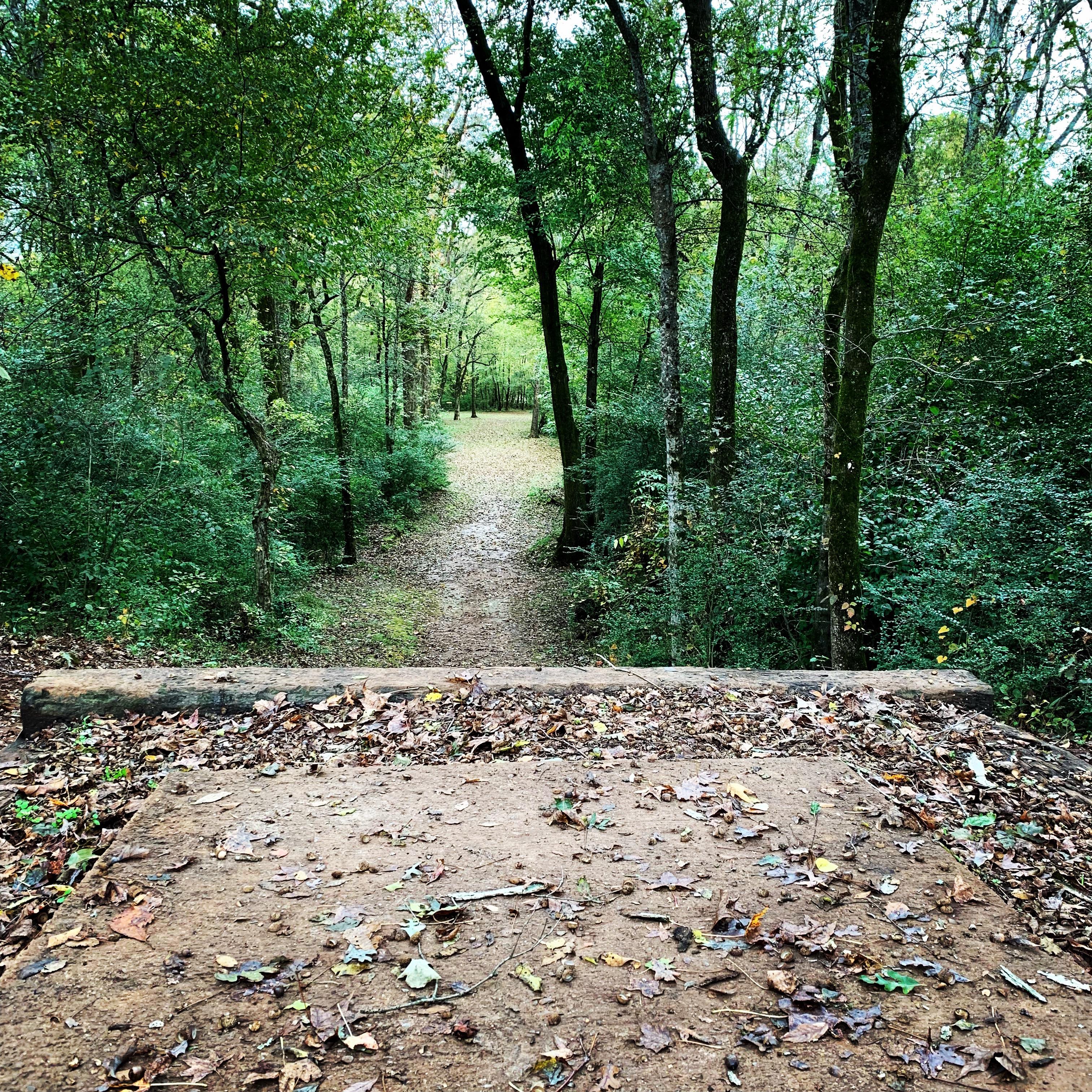 Hole that I love to hate. No. 14 at Indian Creek in Huntsville, AL. 15