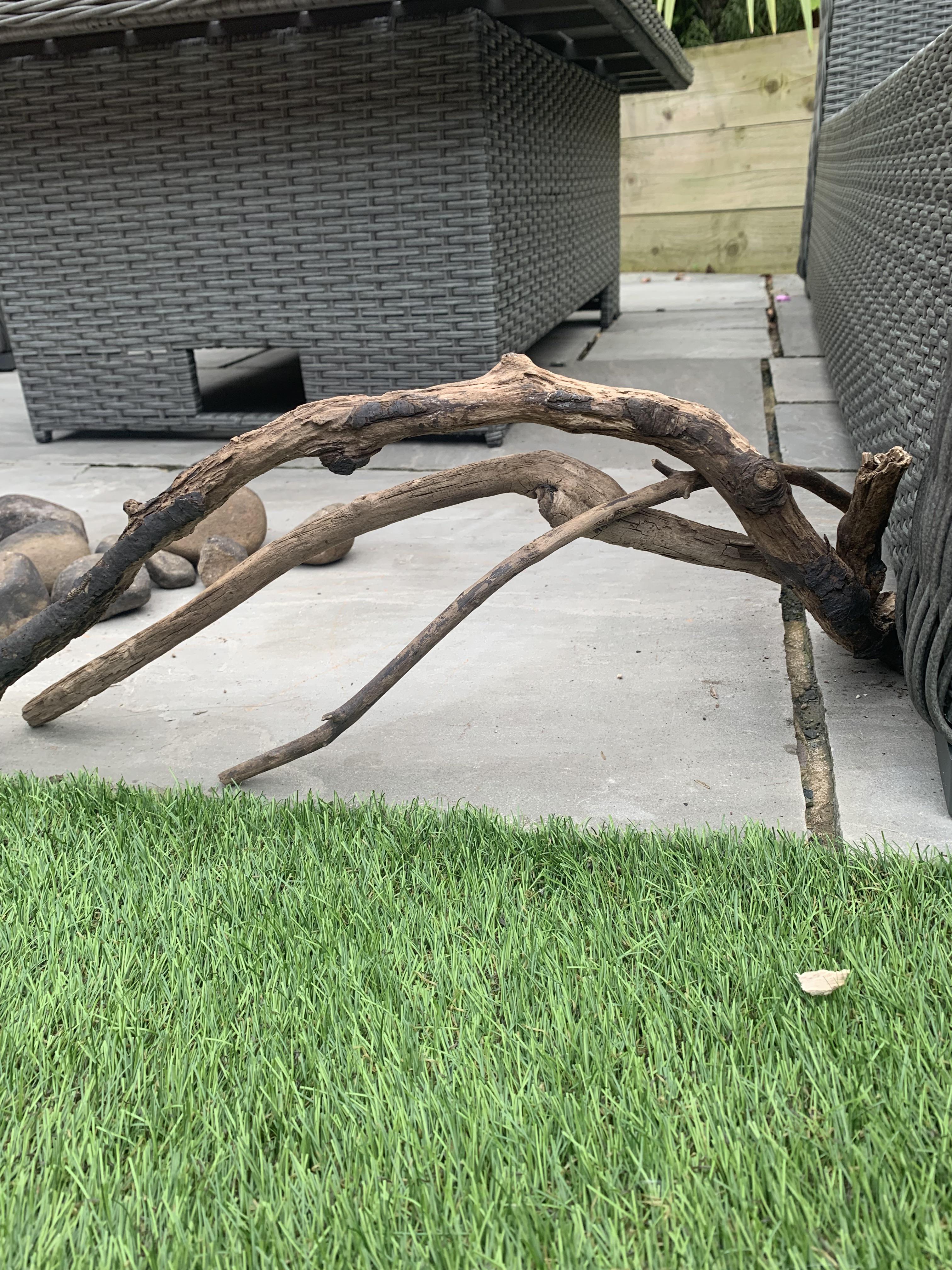 Is this wood aquarium safe (In terms of softwood and hardwood) r