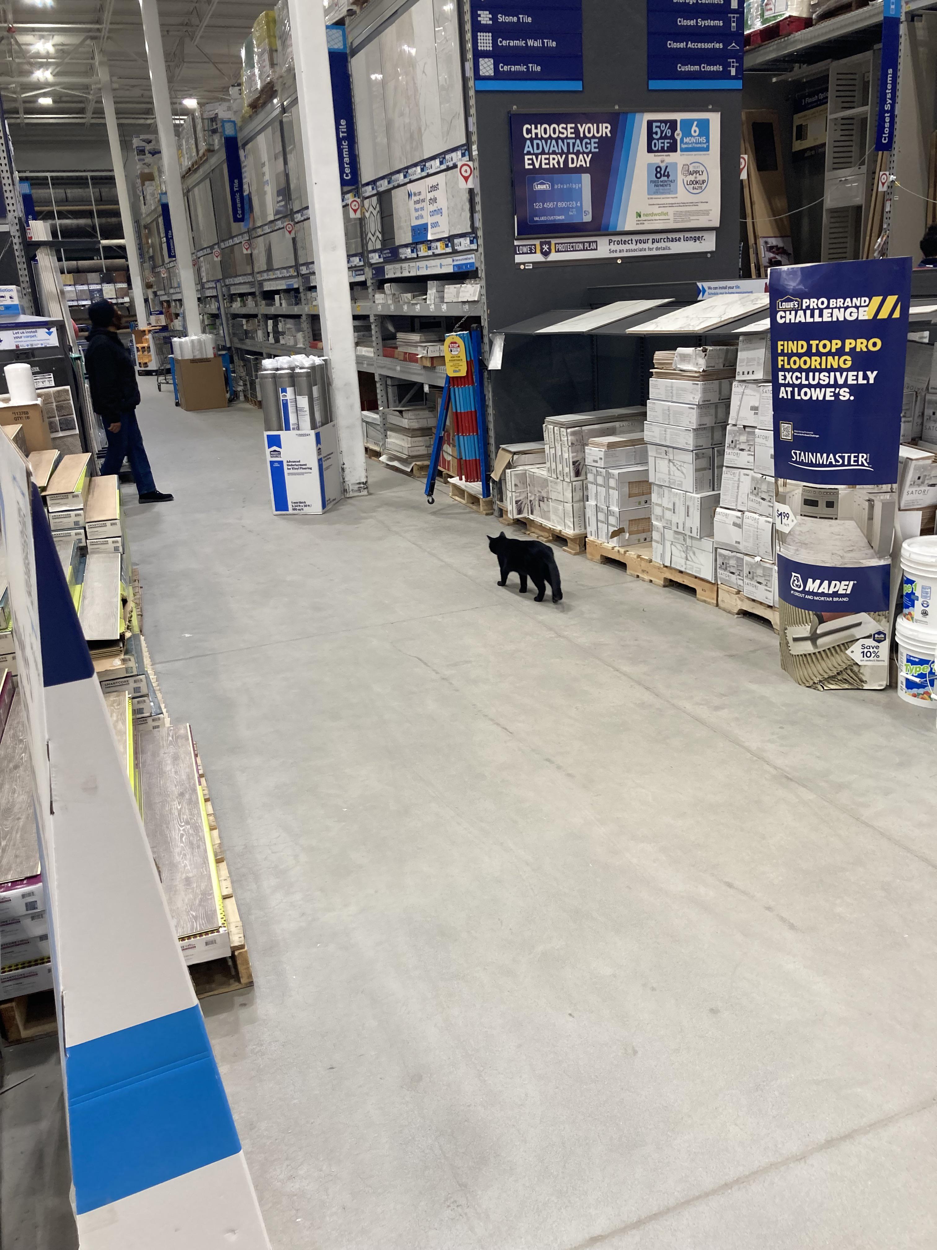 Is the cat being properly depreciated over a 15year useful life with