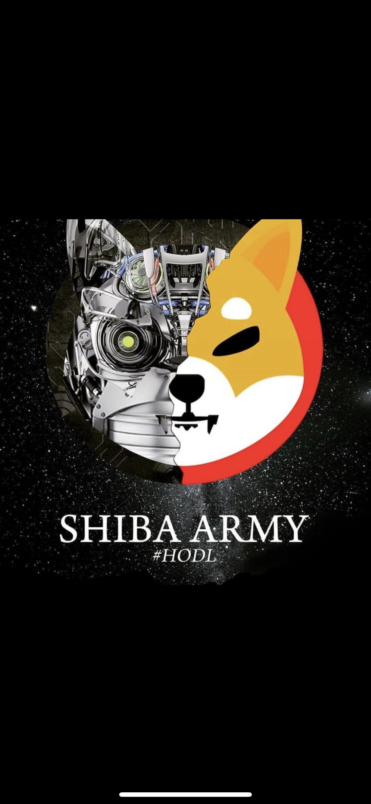 Shiba will be top 10 Crypto currency in terms of market cap