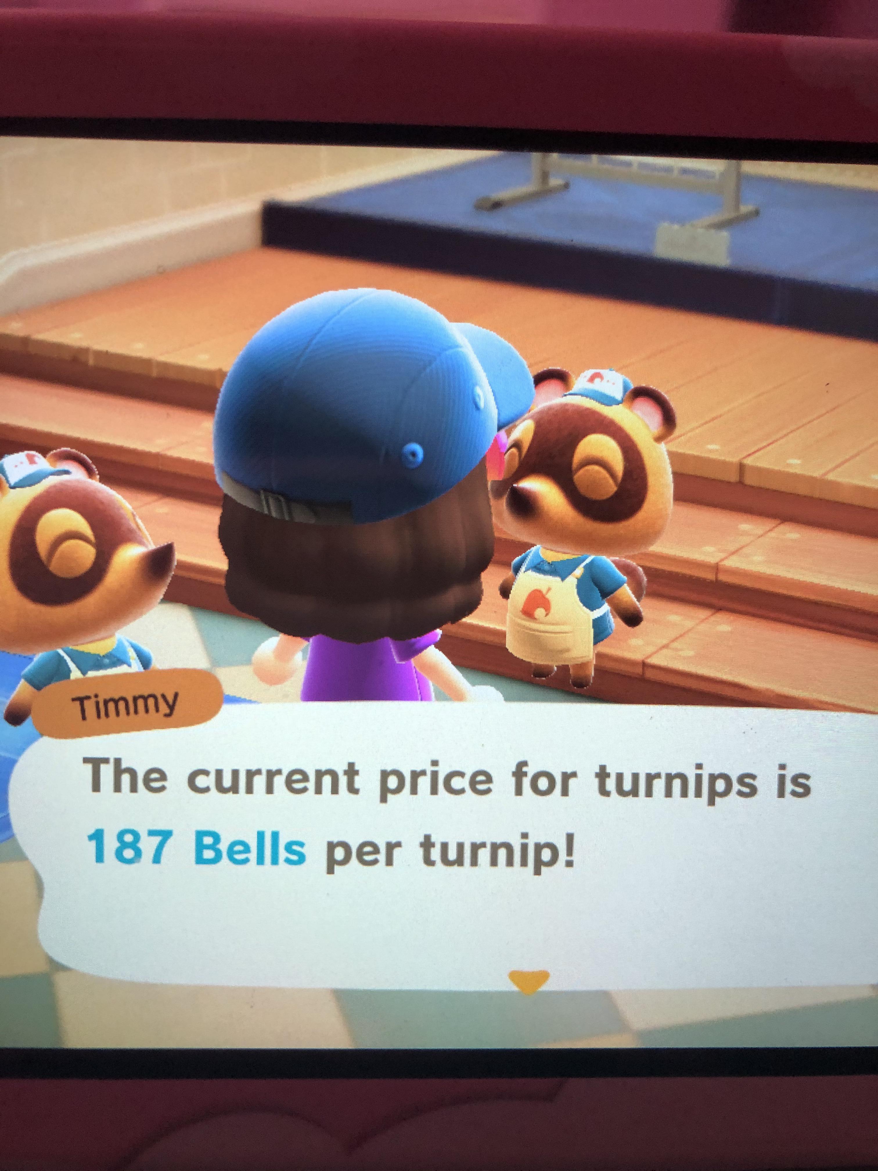I’m new to animal crossing, is this a good price for turnips? r