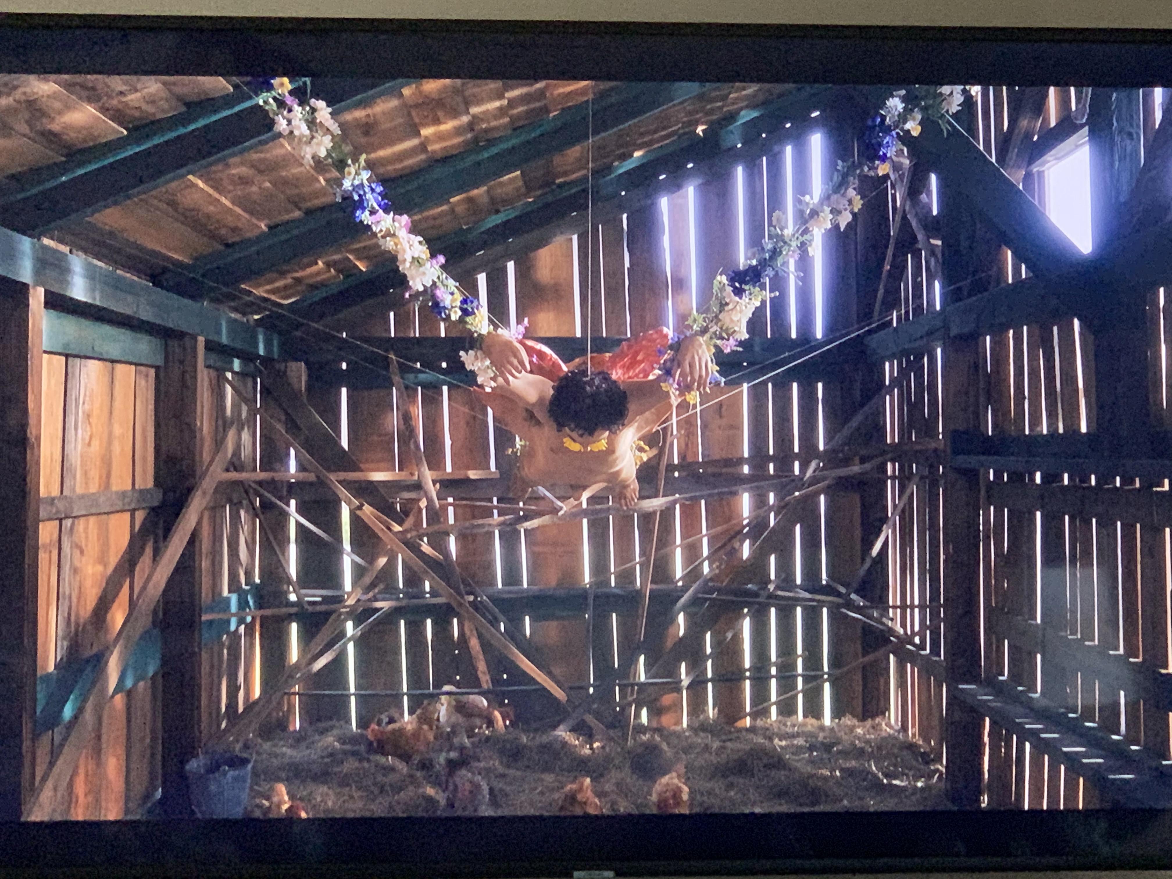 overview for pineapplesgreen