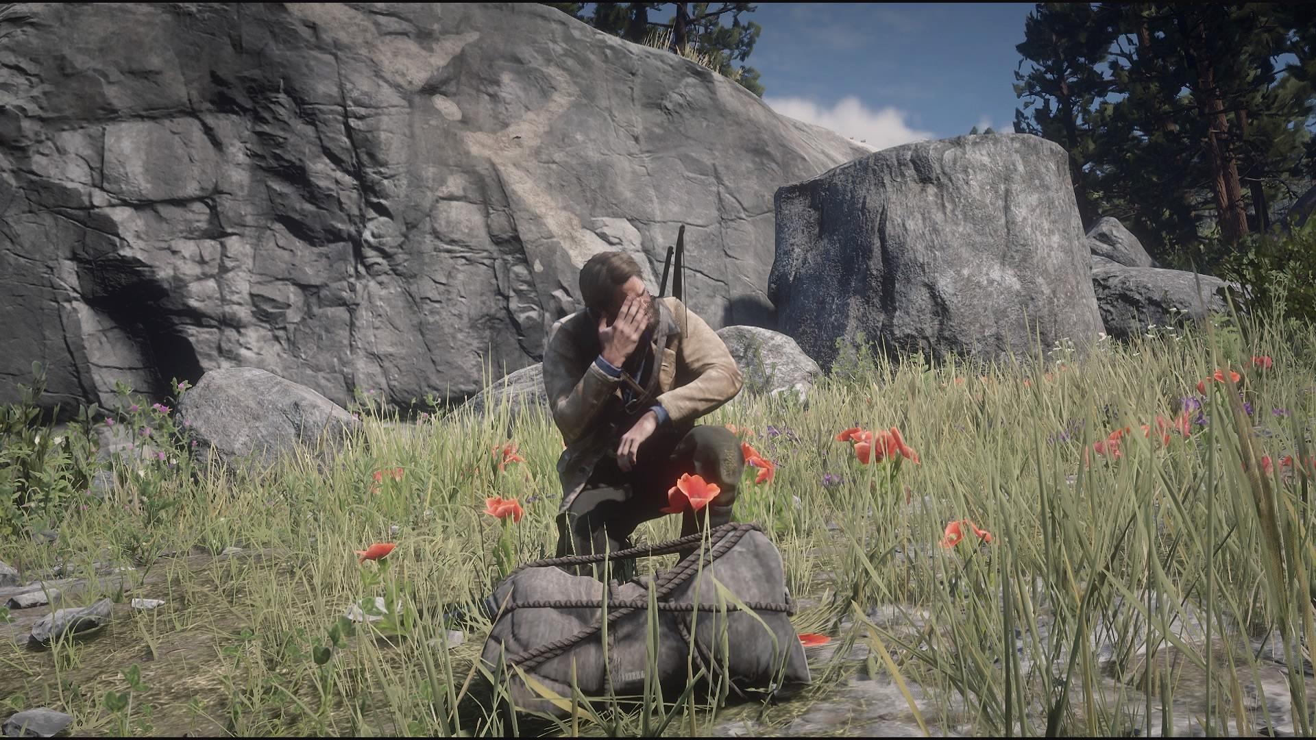 My horse died, but I got this beautiful photo. r/reddeadredemption2