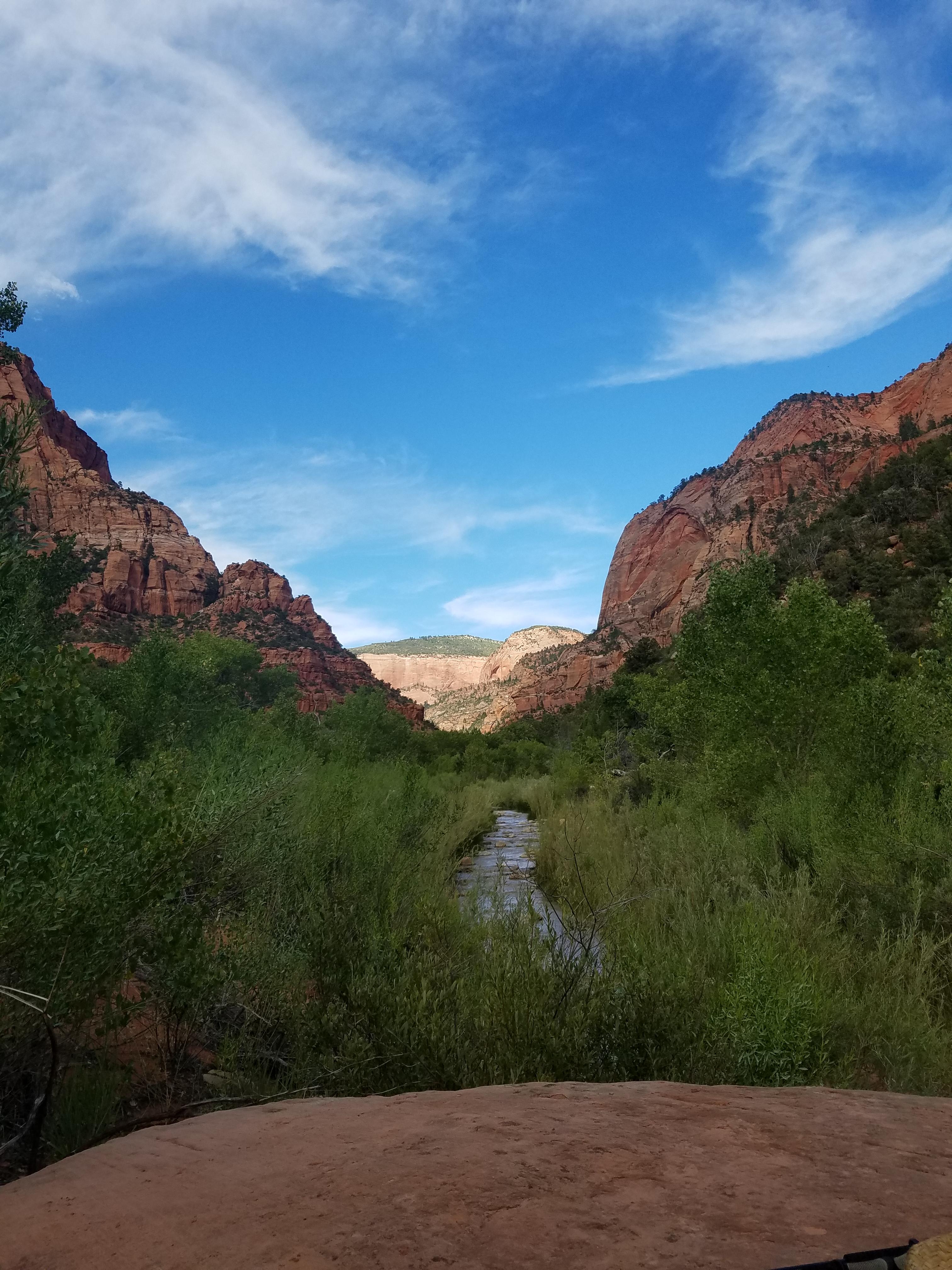 Backpacking Zion National Park r/WildernessBackpacking