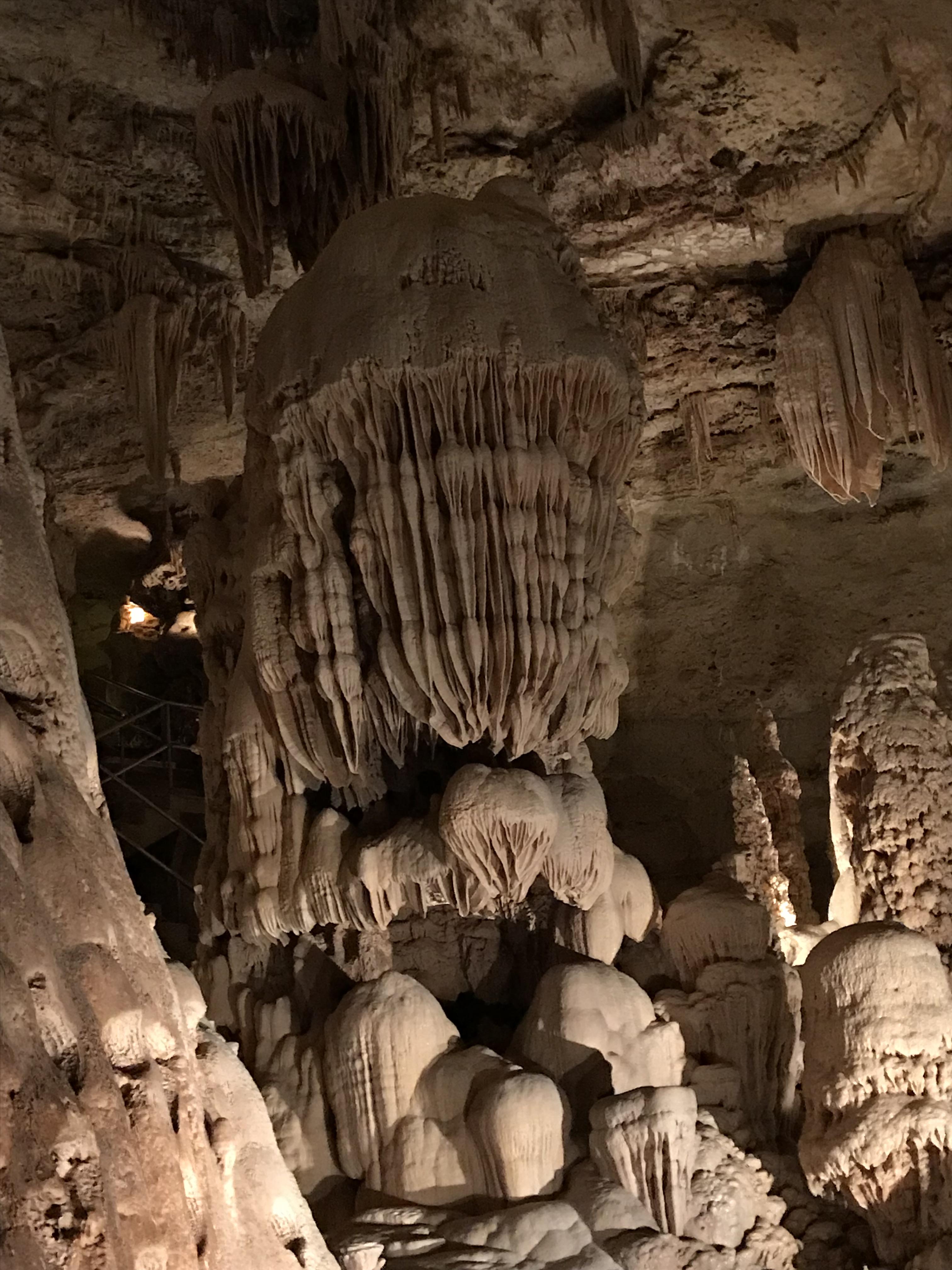 Neat formation in Natural Bridge Caverns, Texas. r/Undergrounds