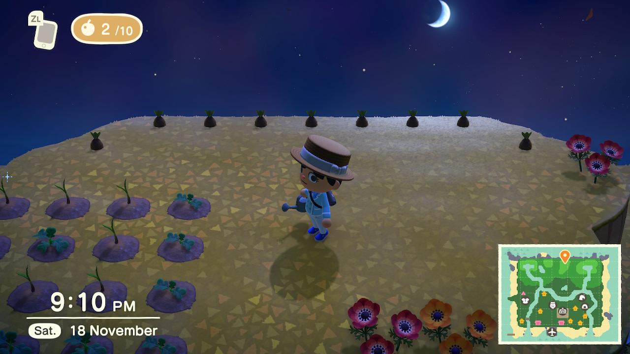 Will my bamboo grow?? Or should I give them space?? r/acnh